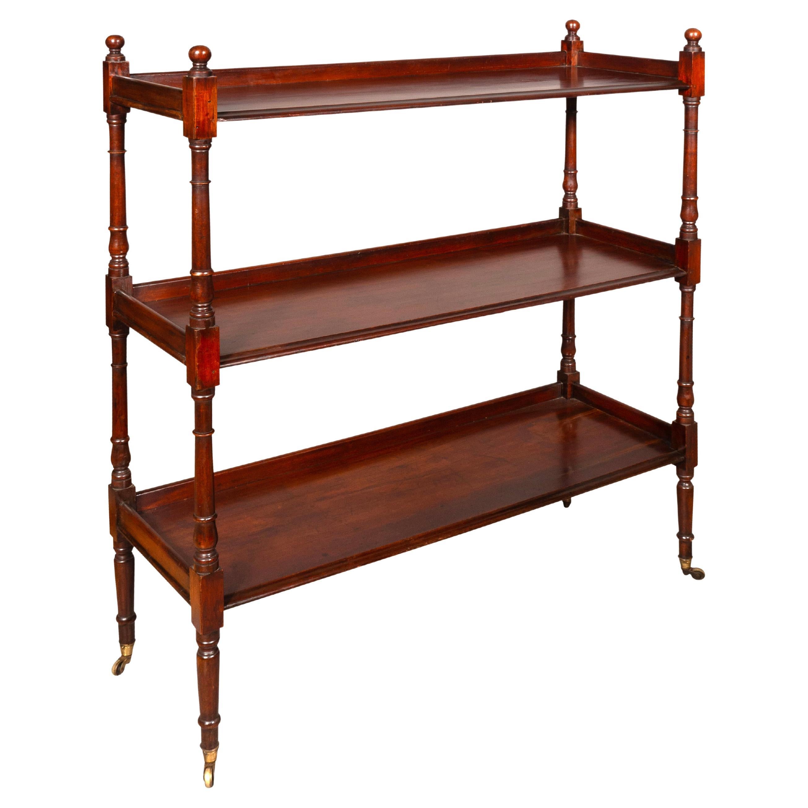 George III Mahogany Etagere