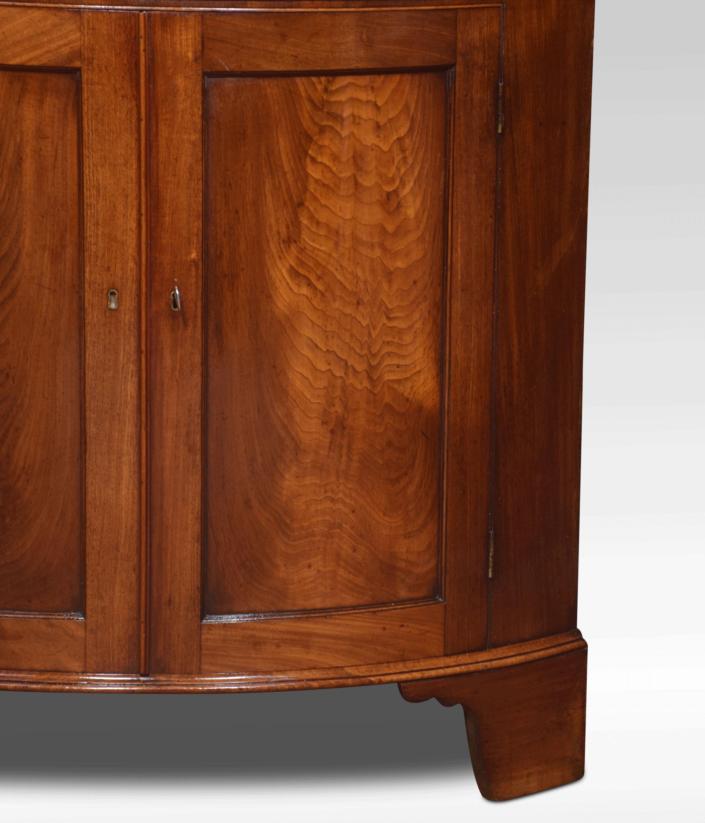 George III Mahogany Floor Standing Corner Cabinet 6