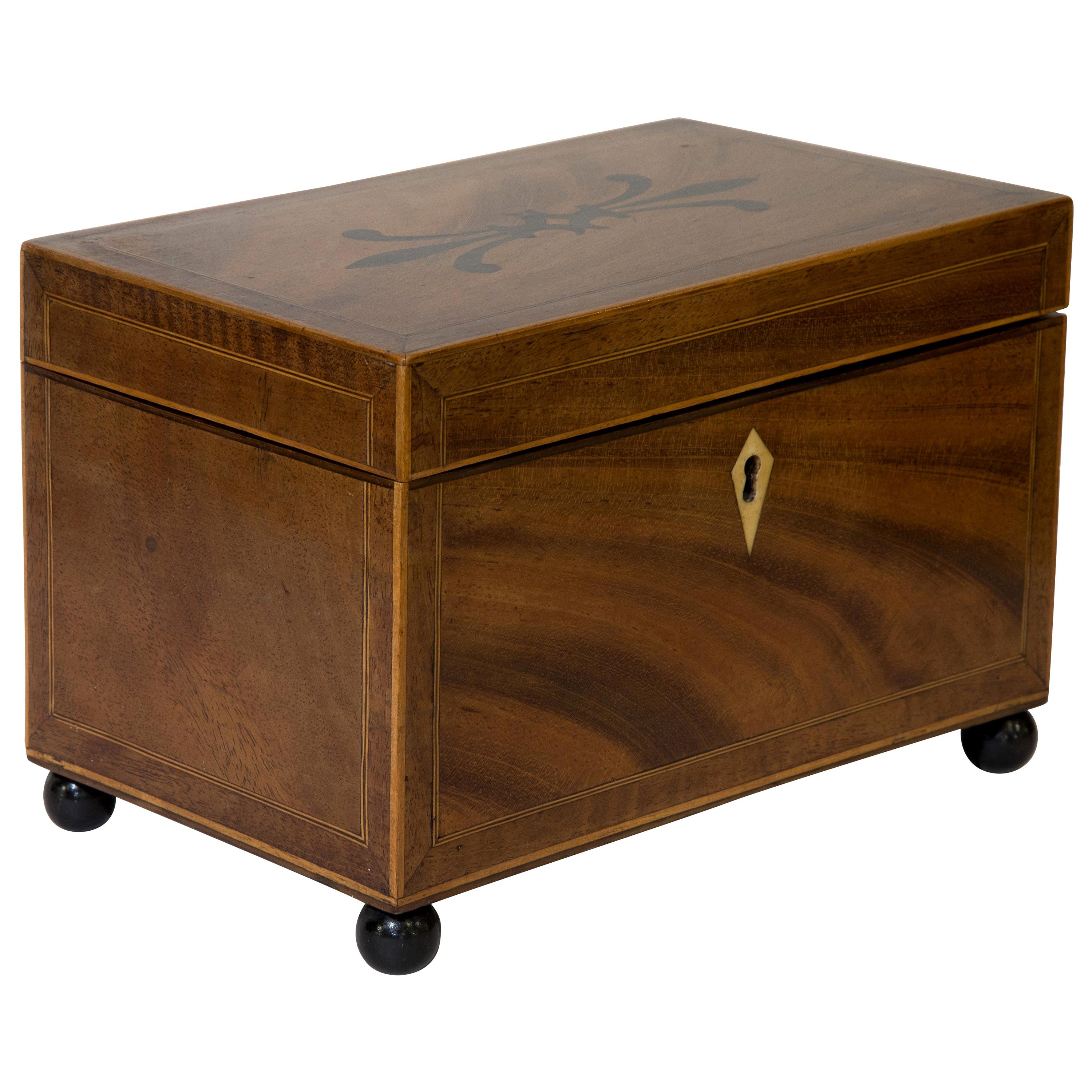 George III Mahogany Inlaid Tea Caddy on Bun Feet For Sale