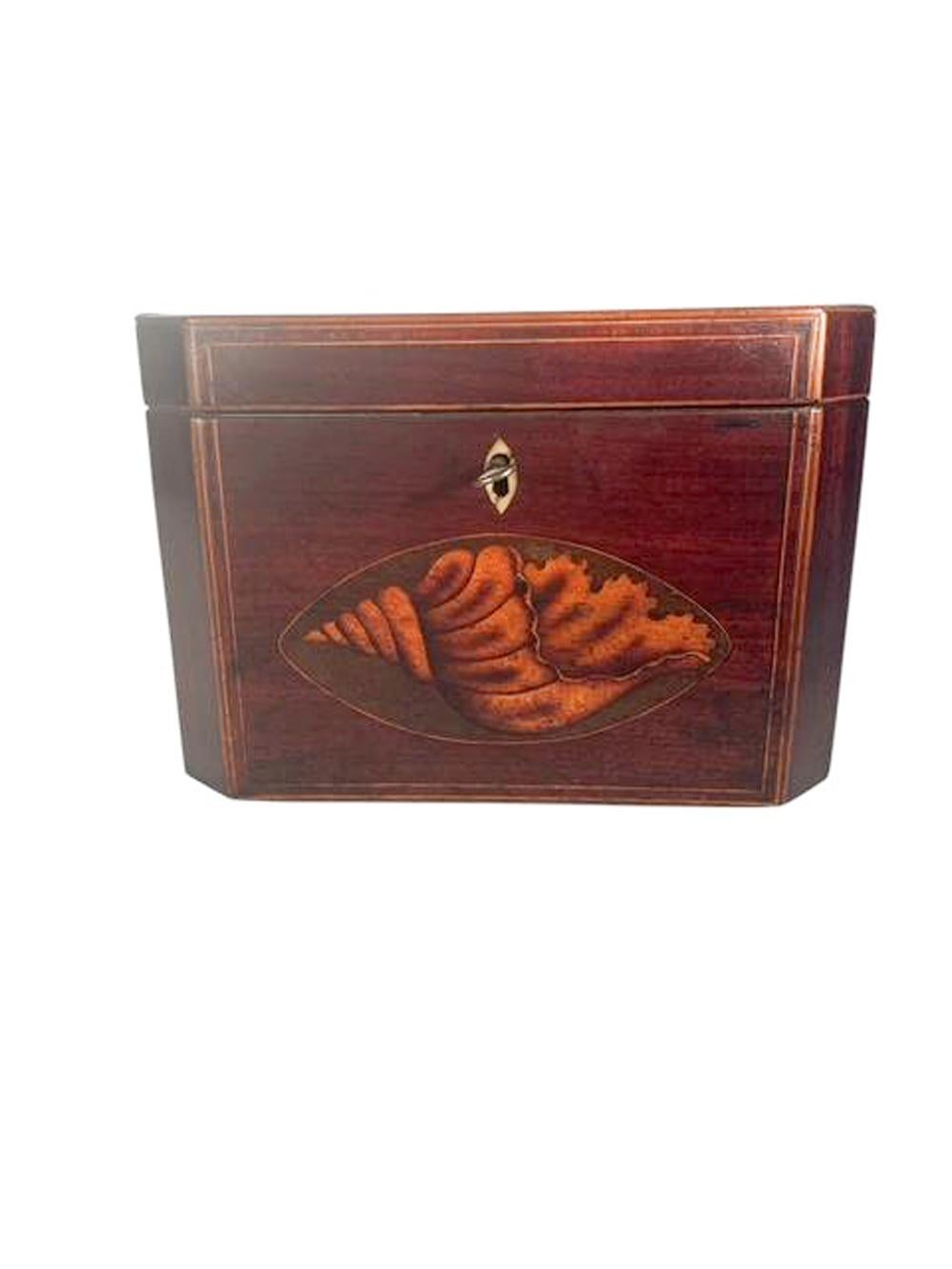 Boîte à thé George III en acajou avec coins coupés et deux incrustations de coquilles de conque en vente 8