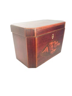 George III Mahogany Tea Caddy with Cut Corners and Two Conch Shell Inlays