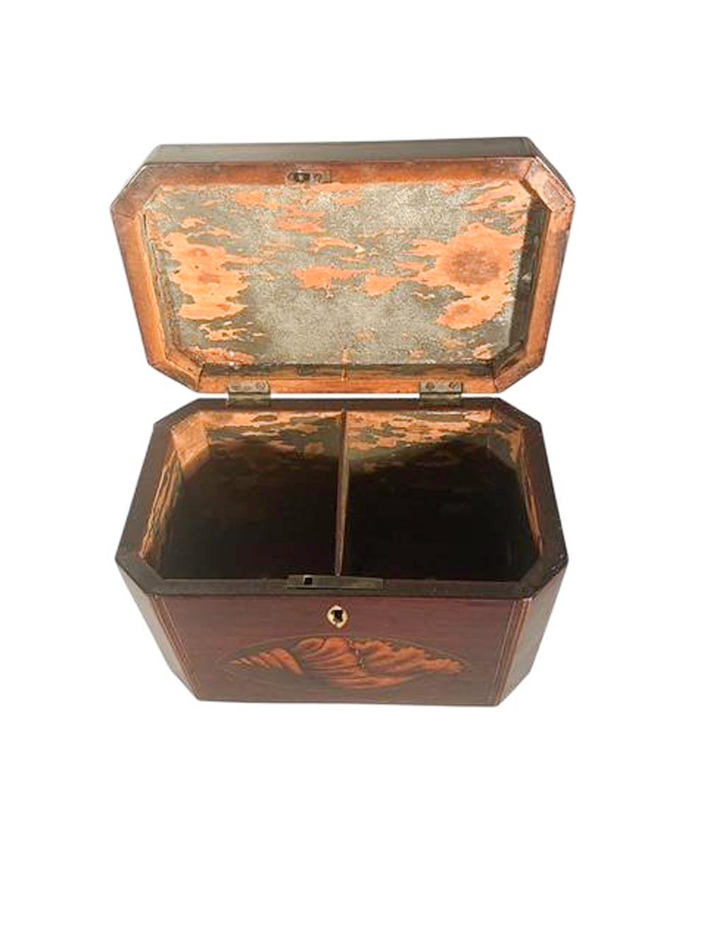 Boîte à thé George III en acajou avec coins coupés et deux incrustations de coquilles de conque en vente 3