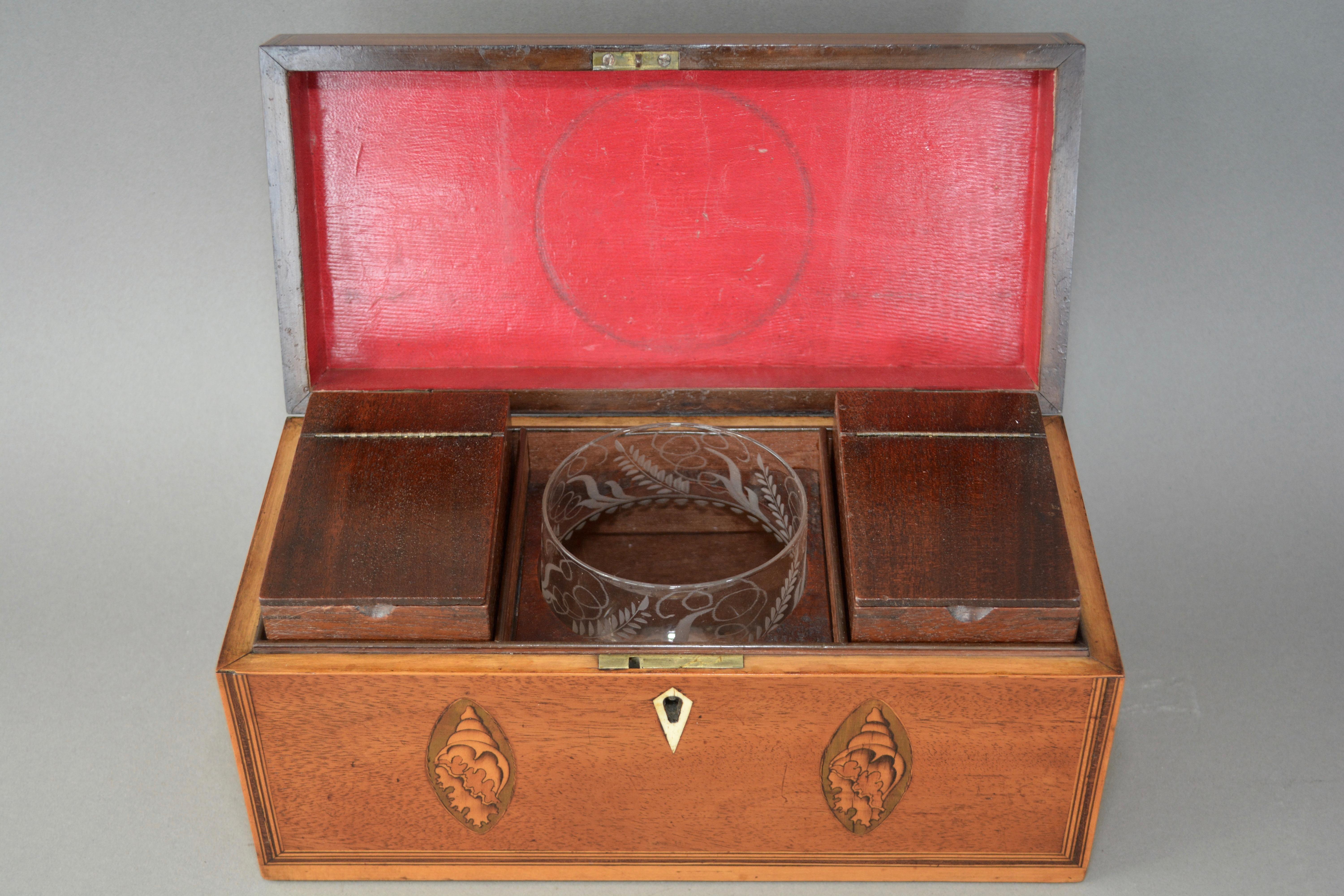 George III Mahogany Tea Caddy with Inlaid Shell and Flower Motifs C180 In Good Condition In London, Greenwich