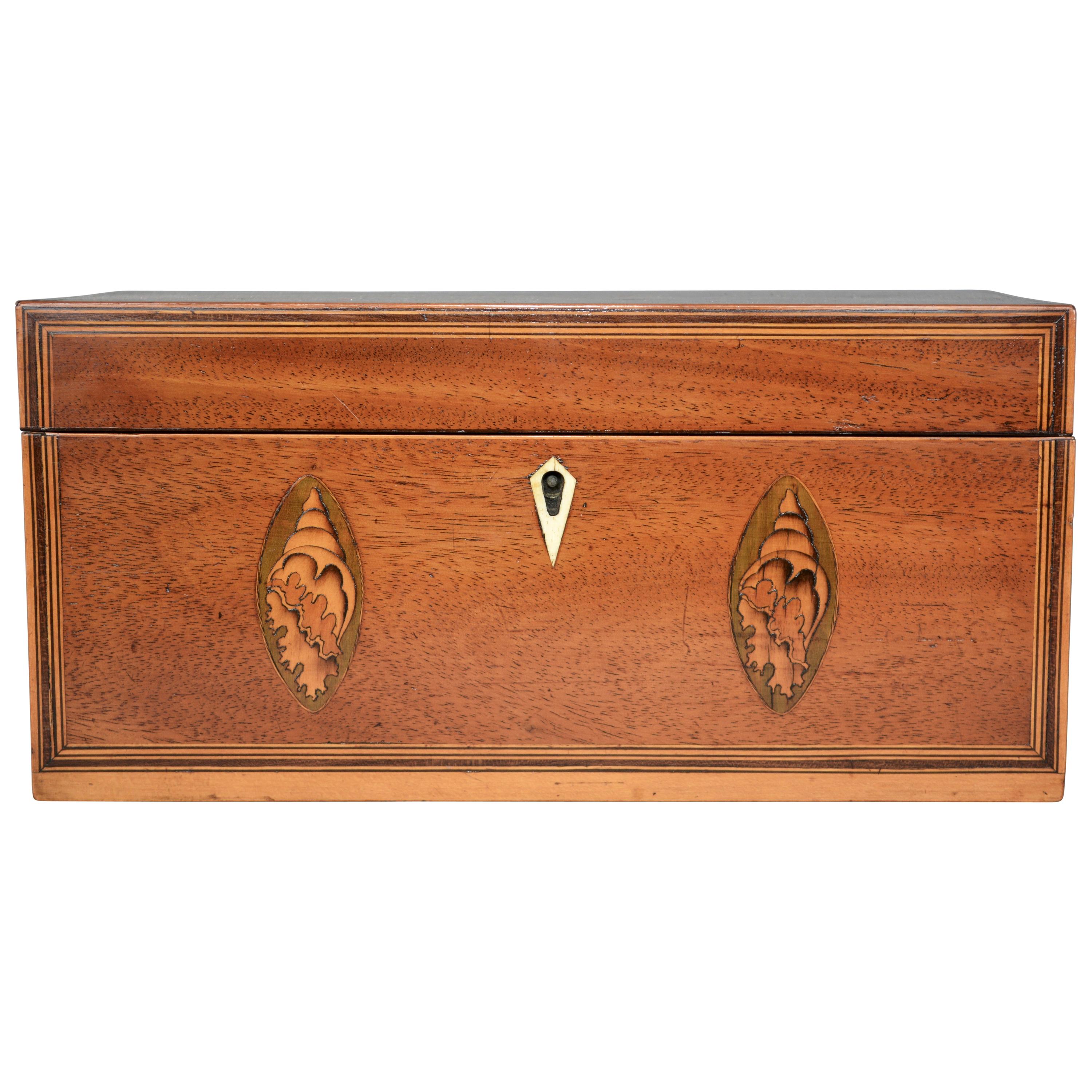 George III Mahogany Tea Caddy with Inlaid Shell and Flower Motifs C180