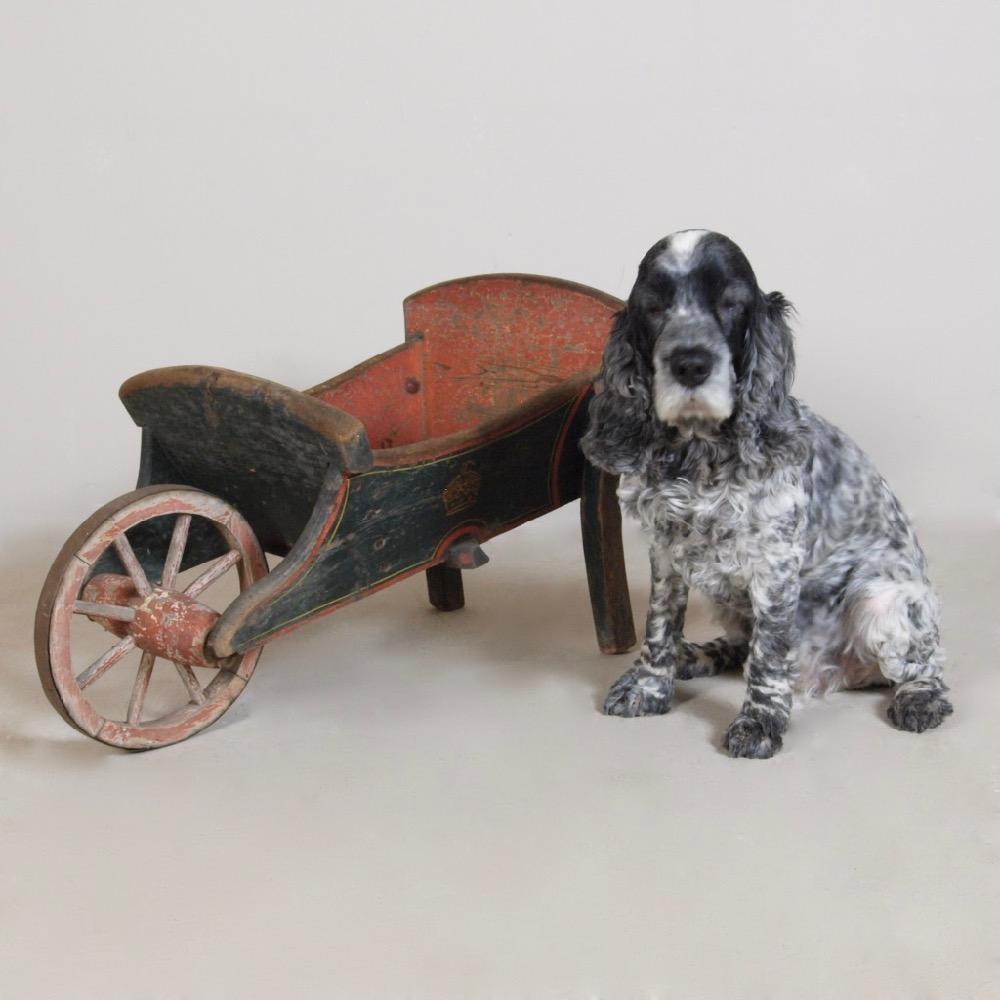 A wonderful, early 19th century, original painted pine wheelbarrow / book barrow. In the most beautiful blue and orange paint, line detailing and crown decoration. In very good condition, beautifully worn and weathered, a very small loss to the end
