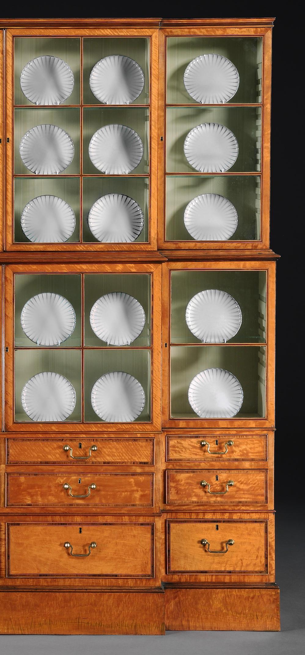 collectors cabinet display case