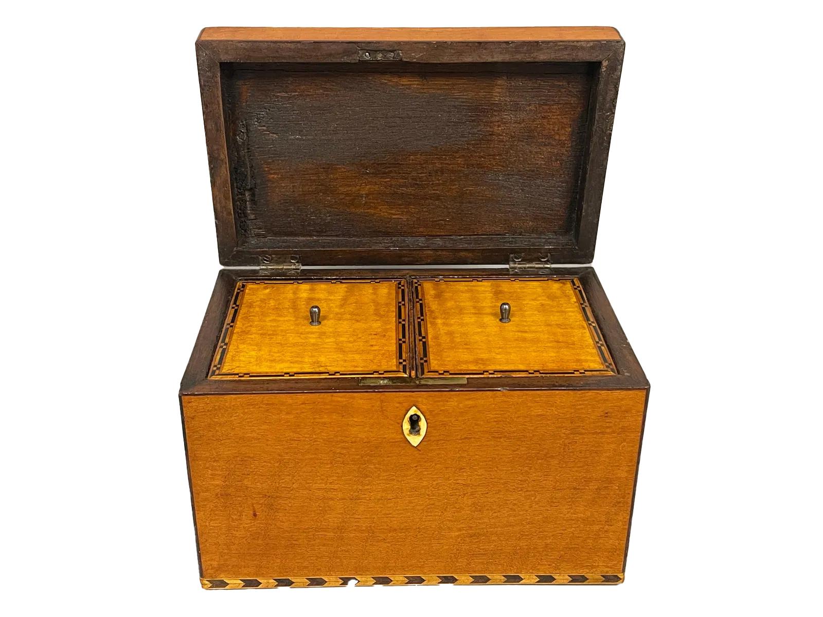 George III Satinwood Double Tea Caddy with Oval Conch Shell Inlay on Lid In Good Condition For Sale In Chapel Hill, NC
