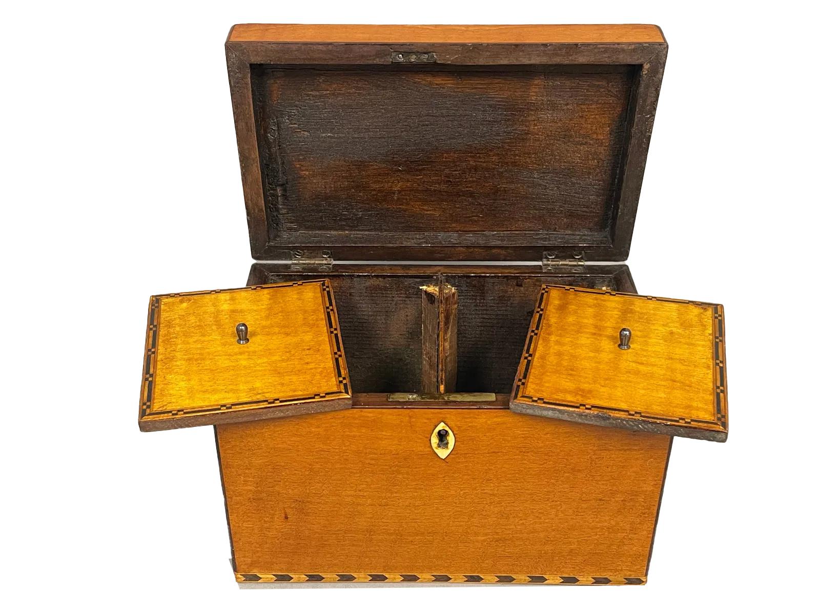 18th Century George III Satinwood Double Tea Caddy with Oval Conch Shell Inlay on Lid For Sale