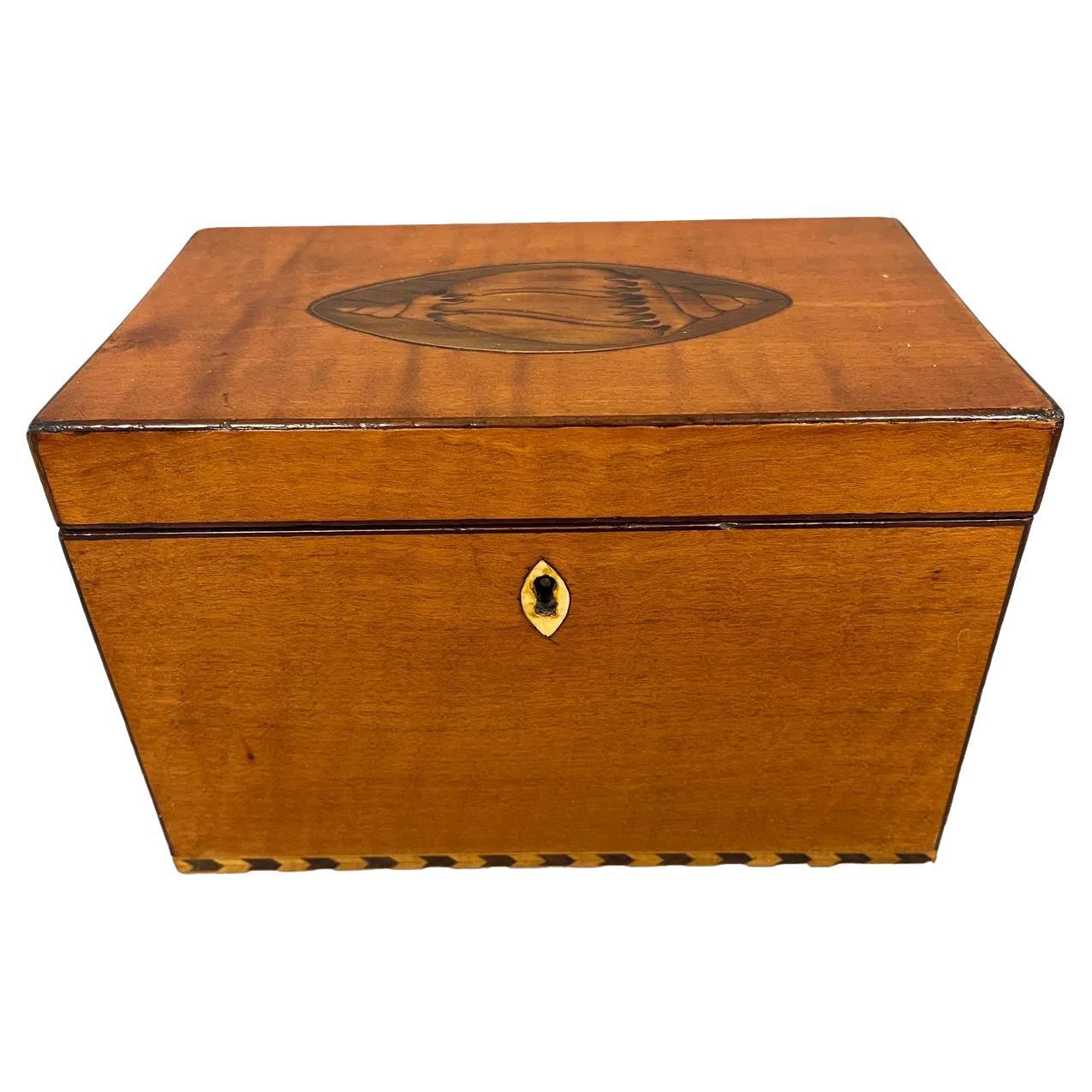 Caja de Té Doble de Madera Satinada Jorge III con Tapa de Concha Ovalada Incrustada