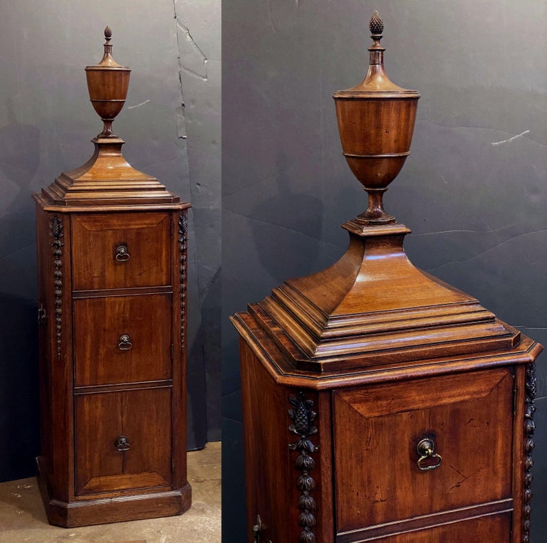 George III Serving Table or Console Server with Matching Pedestals of Mahogany For Sale 4