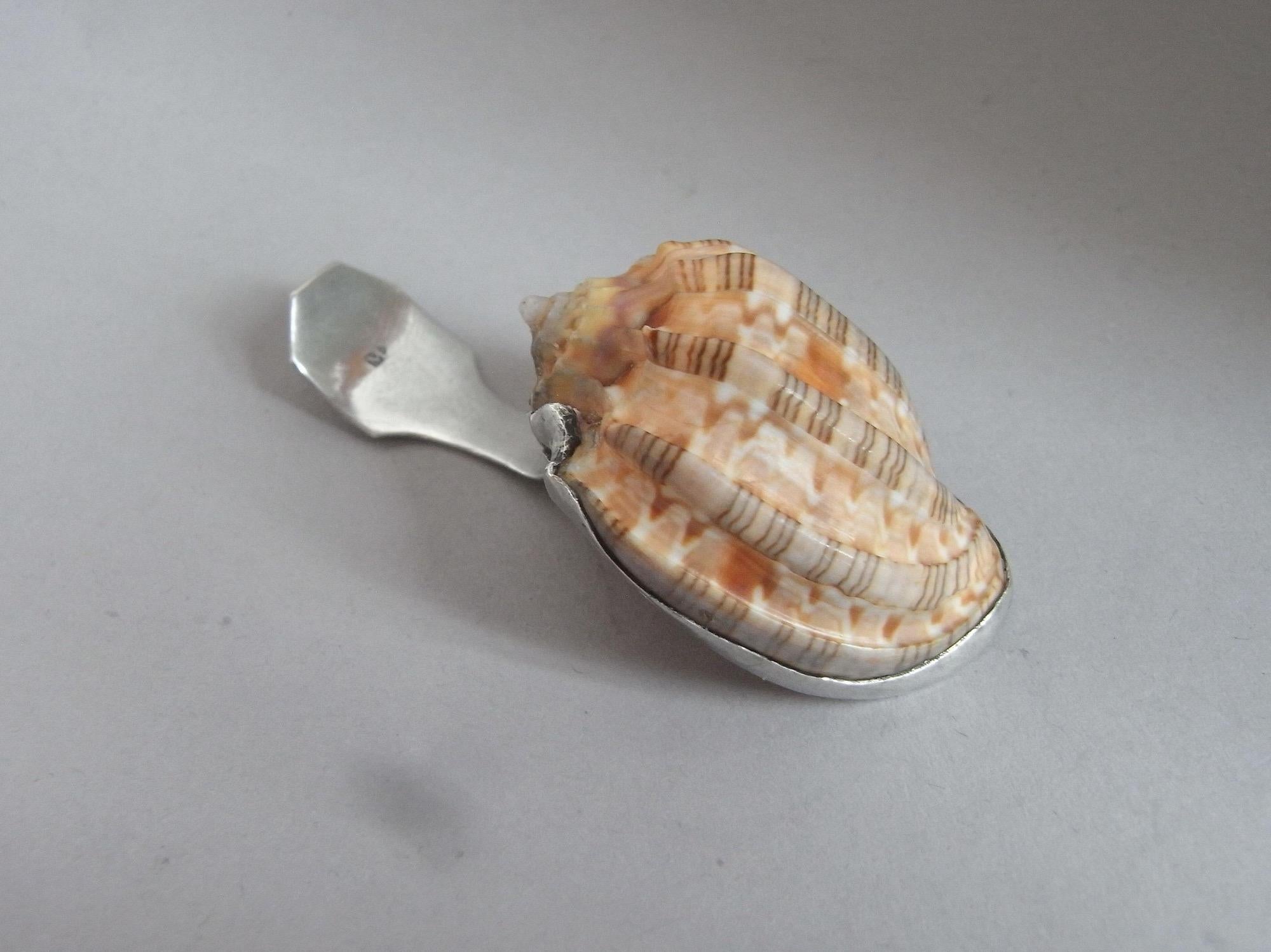 A Very Rare George III Silver Mounted Natural Conch Shell Caddy Spoon Made in Birmingham circa 1810 by Matthew Linwood.

The shell has a very attractive shape and colour and has plain silver mounts. The bi-fucated handle has a double thread edge