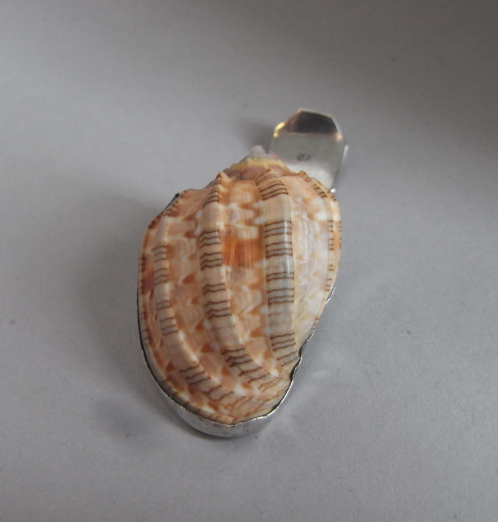 English George III Silver Mounted Natural Conch Shell Caddy Spoon by Matthew Linwood. For Sale