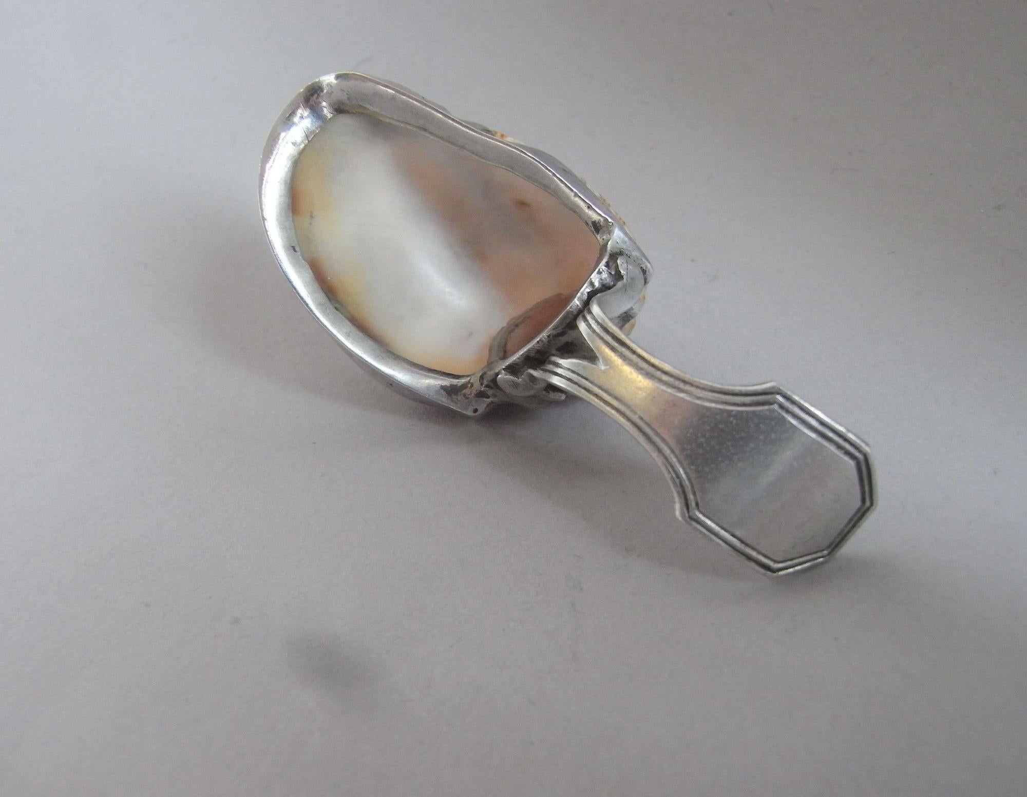 19th Century George III Silver Mounted Natural Conch Shell Caddy Spoon by Matthew Linwood. For Sale