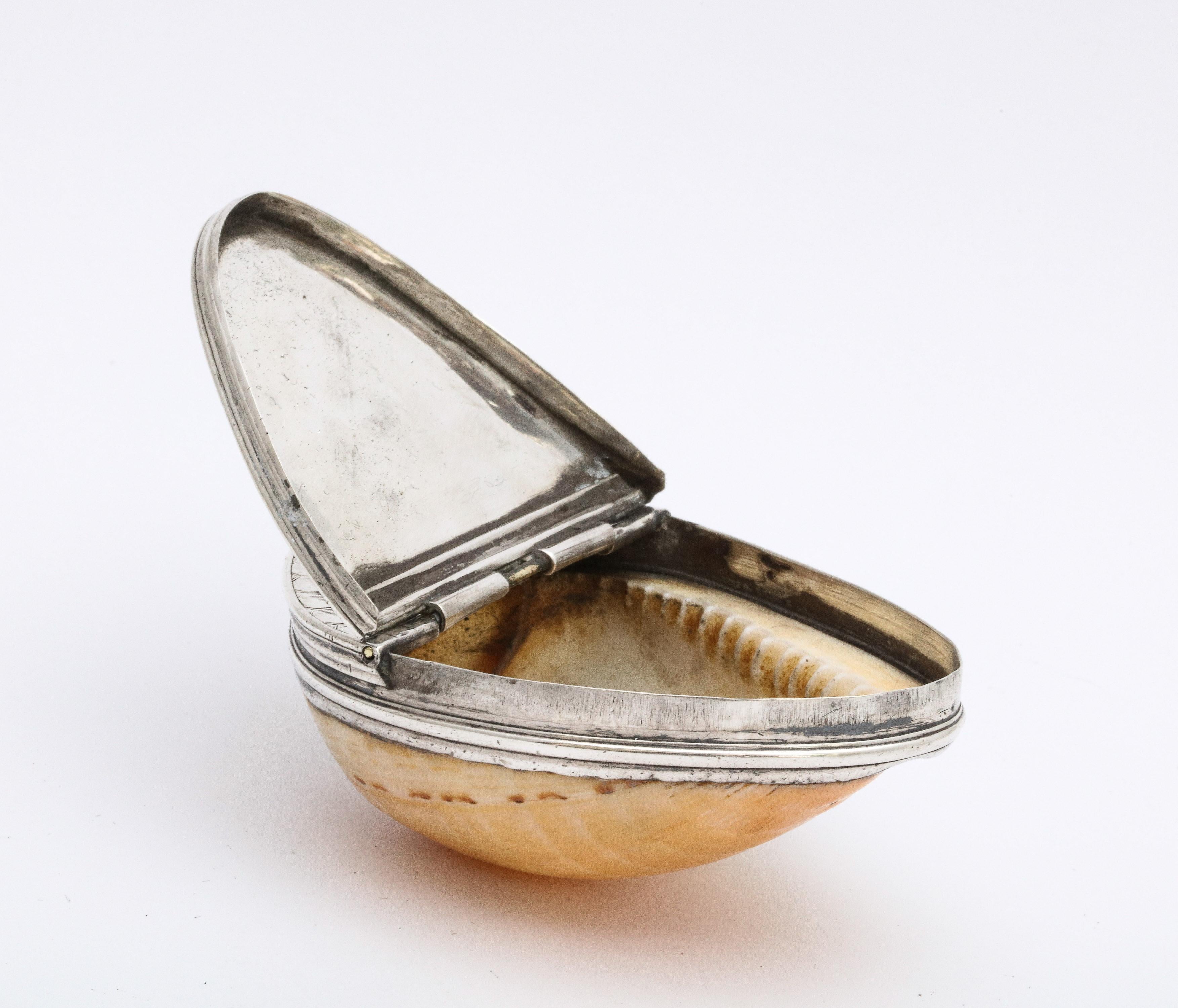 George III Sterling Silver-Mounted Cowrie Shell Snuff Box with Hinged Lid 6