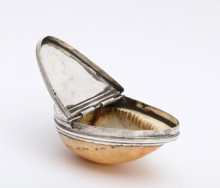 George III Sterling Silver-Mounted Cowrie Shell Snuff Box with Hinged Lid For Sale 6