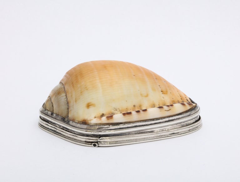 George III, sterling silver-mounted (unmarked, but tested) helmet cowrie shell snuff box with hinged lid, Scotland, Ca. 1790. Sterling is beautifully etched, Measures 3 inches wide x 2 1/8 inches deep (at deepest point) x 1 1/2 inches high (at