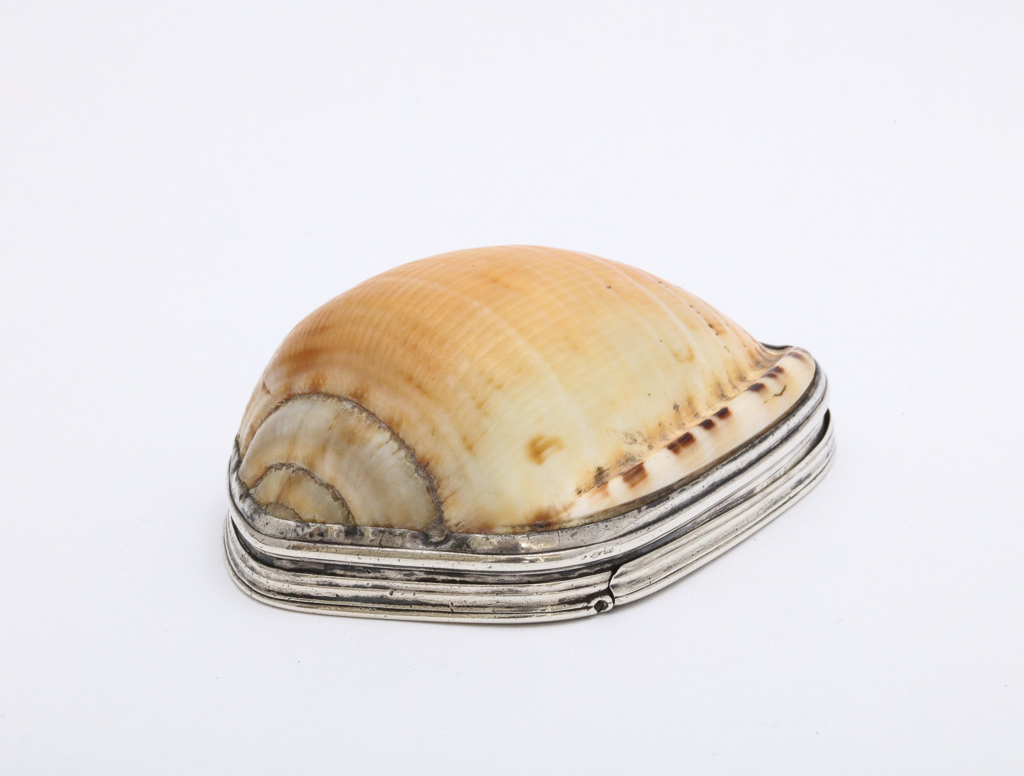 Scottish George III Sterling Silver-Mounted Cowrie Shell Snuff Box with Hinged Lid