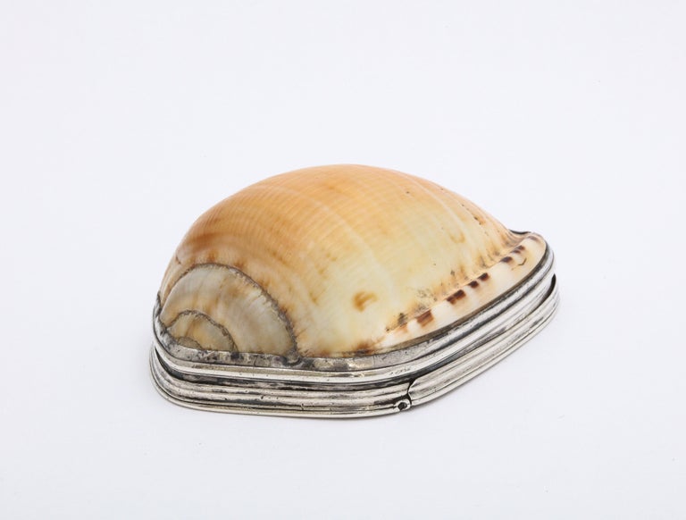 Scottish George III Sterling Silver-Mounted Cowrie Shell Snuff Box with Hinged Lid For Sale