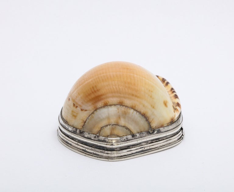 George III Sterling Silver-Mounted Cowrie Shell Snuff Box with Hinged Lid In Good Condition For Sale In New York, NY