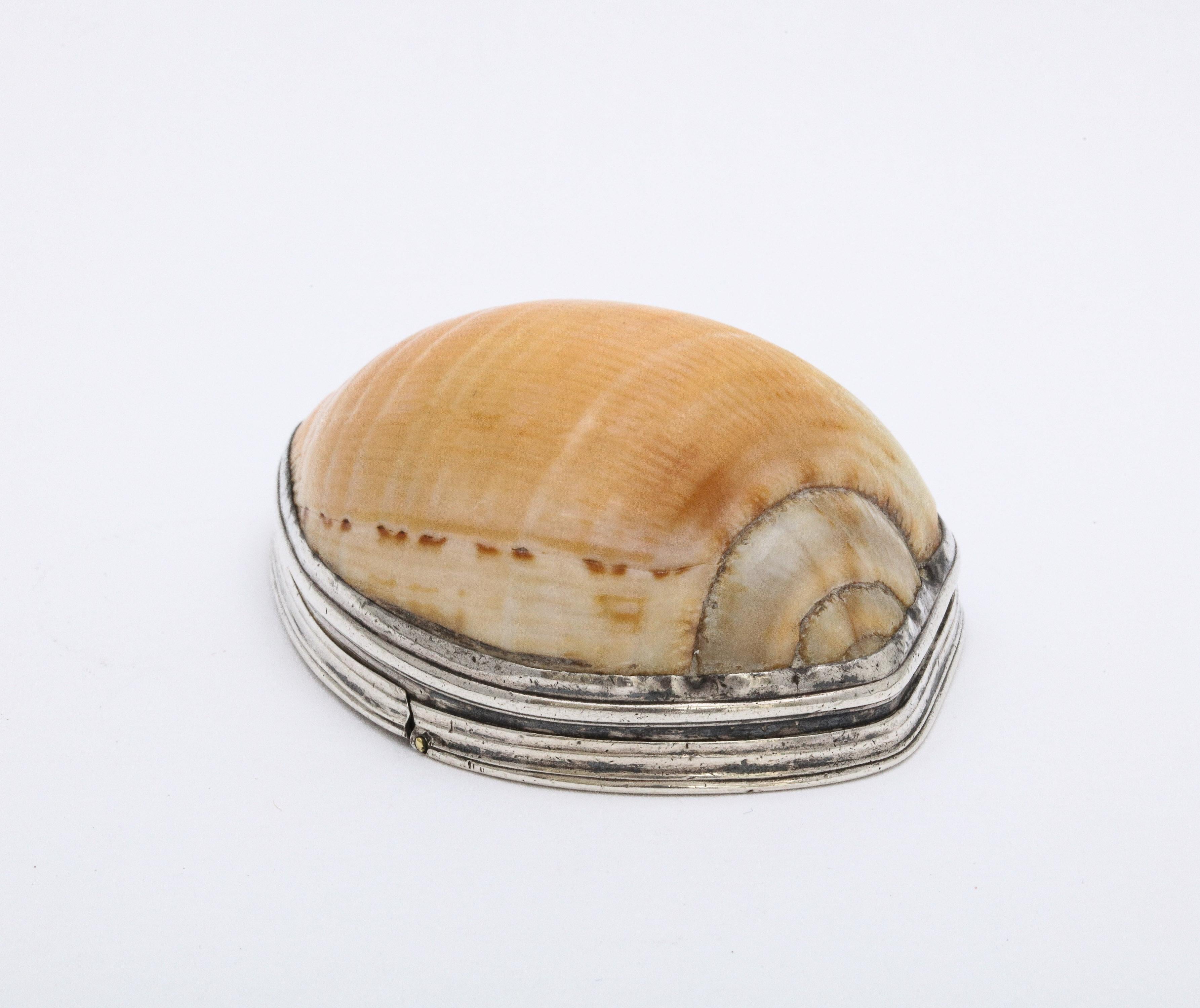 Late 18th Century George III Sterling Silver-Mounted Cowrie Shell Snuff Box with Hinged Lid