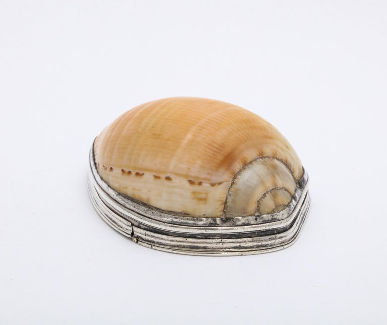 Late 18th Century George III Sterling Silver-Mounted Cowrie Shell Snuff Box with Hinged Lid For Sale