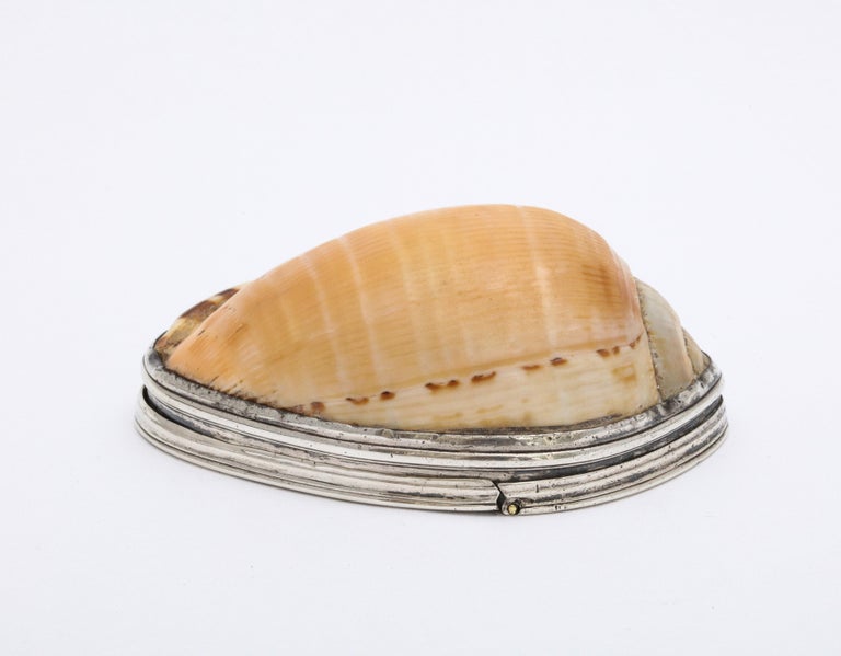 George III Sterling Silver-Mounted Cowrie Shell Snuff Box with Hinged Lid For Sale 1