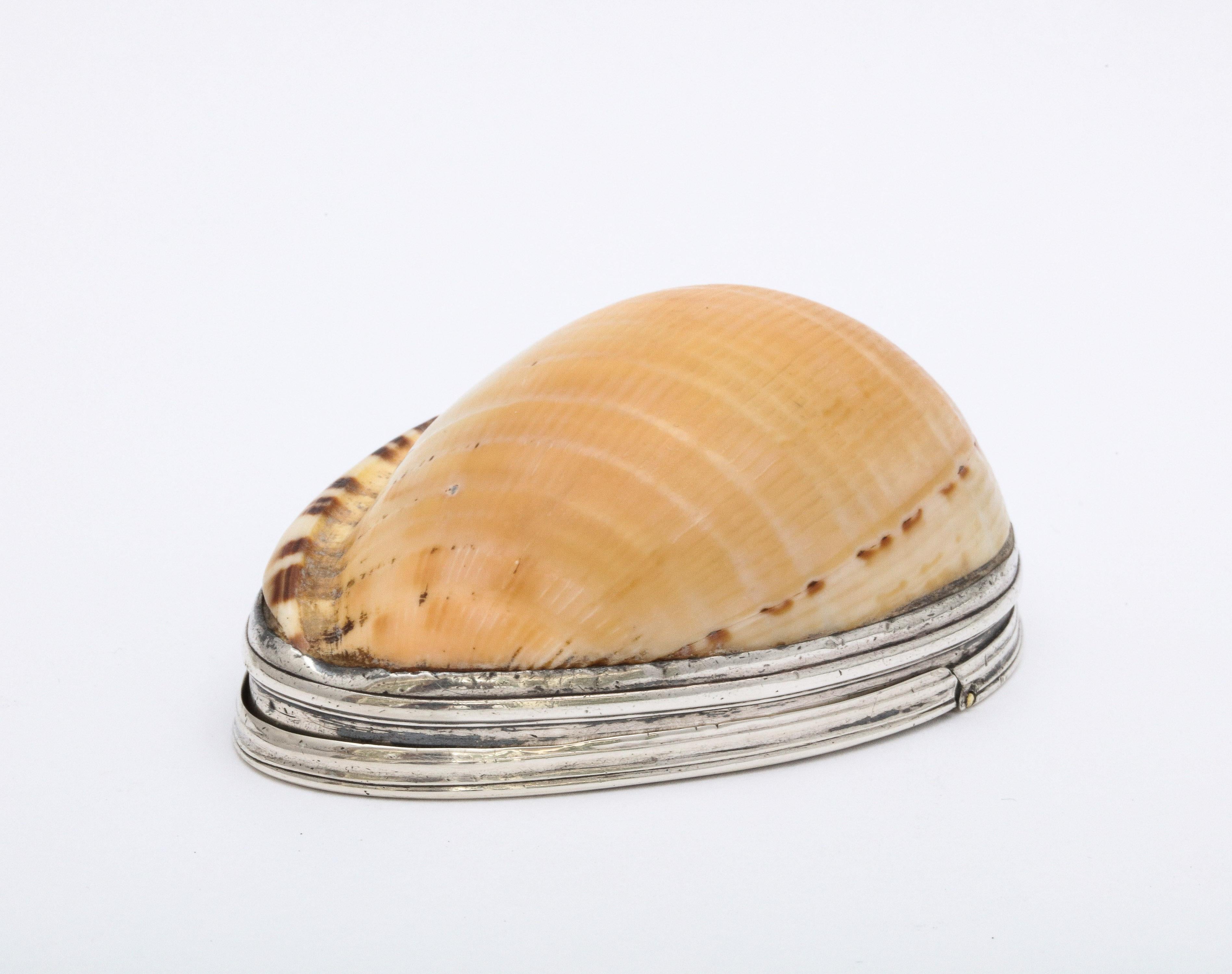 George III Sterling Silver-Mounted Cowrie Shell Snuff Box with Hinged Lid 2