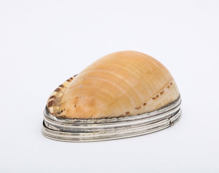 George III Sterling Silver-Mounted Cowrie Shell Snuff Box with Hinged Lid For Sale 2