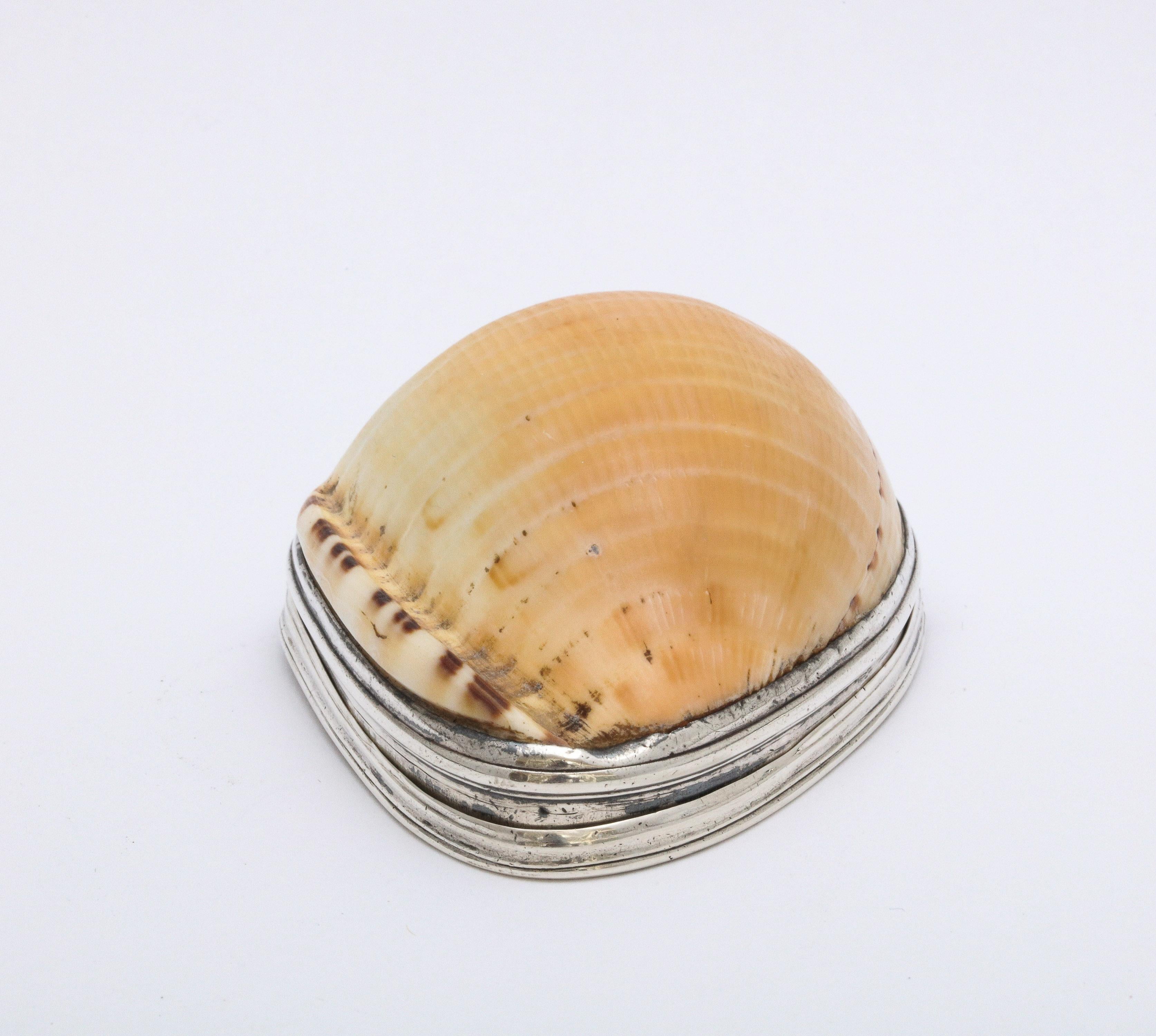 George III Sterling Silver-Mounted Cowrie Shell Snuff Box with Hinged Lid 3