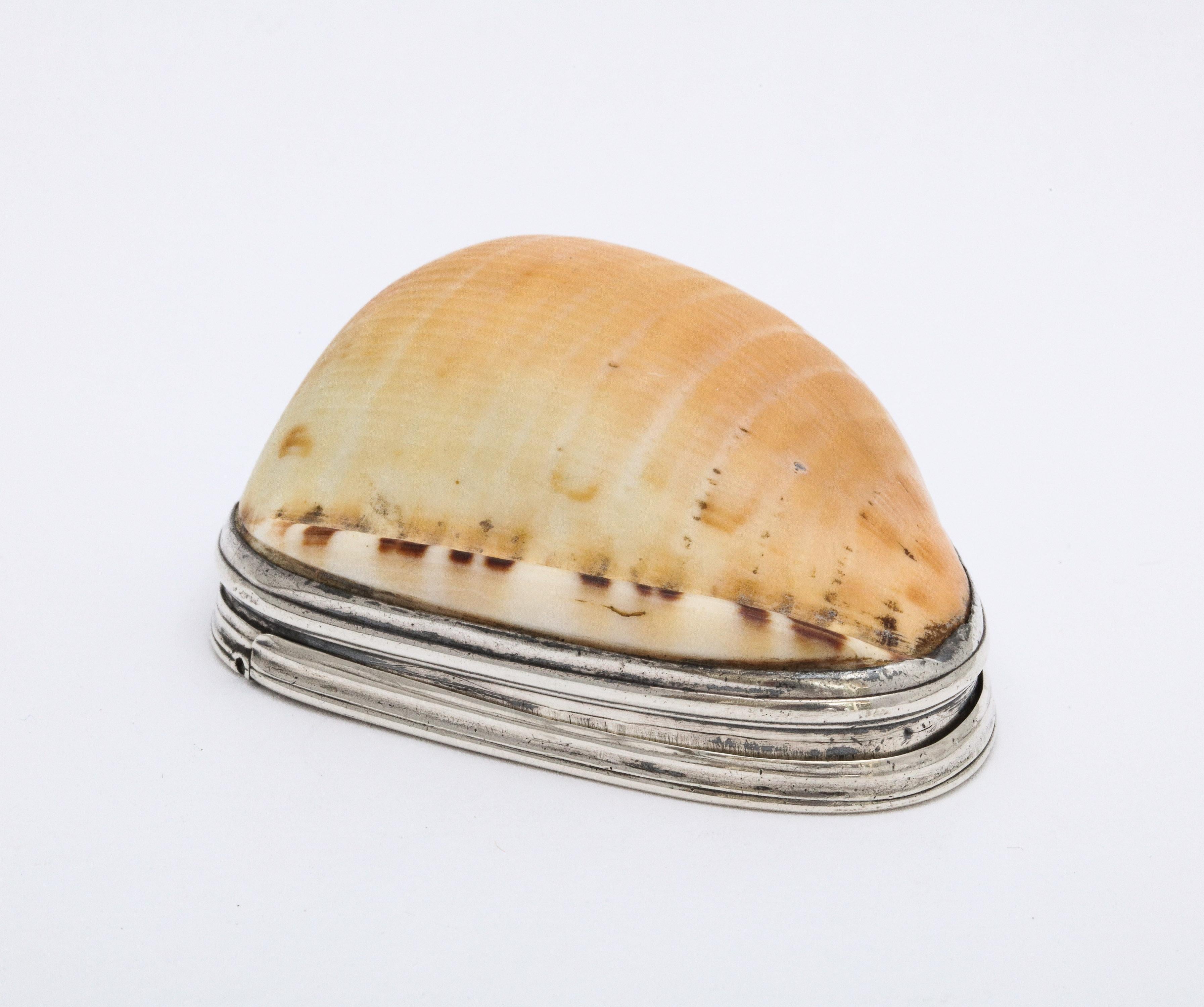 George III Sterling Silver-Mounted Cowrie Shell Snuff Box with Hinged Lid 4