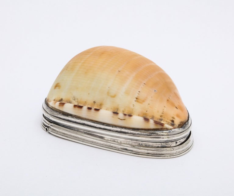 George III Sterling Silver-Mounted Cowrie Shell Snuff Box with Hinged Lid For Sale 4