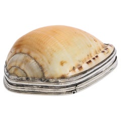 Antique George III Sterling Silver-Mounted Cowrie Shell Snuff Box with Hinged Lid