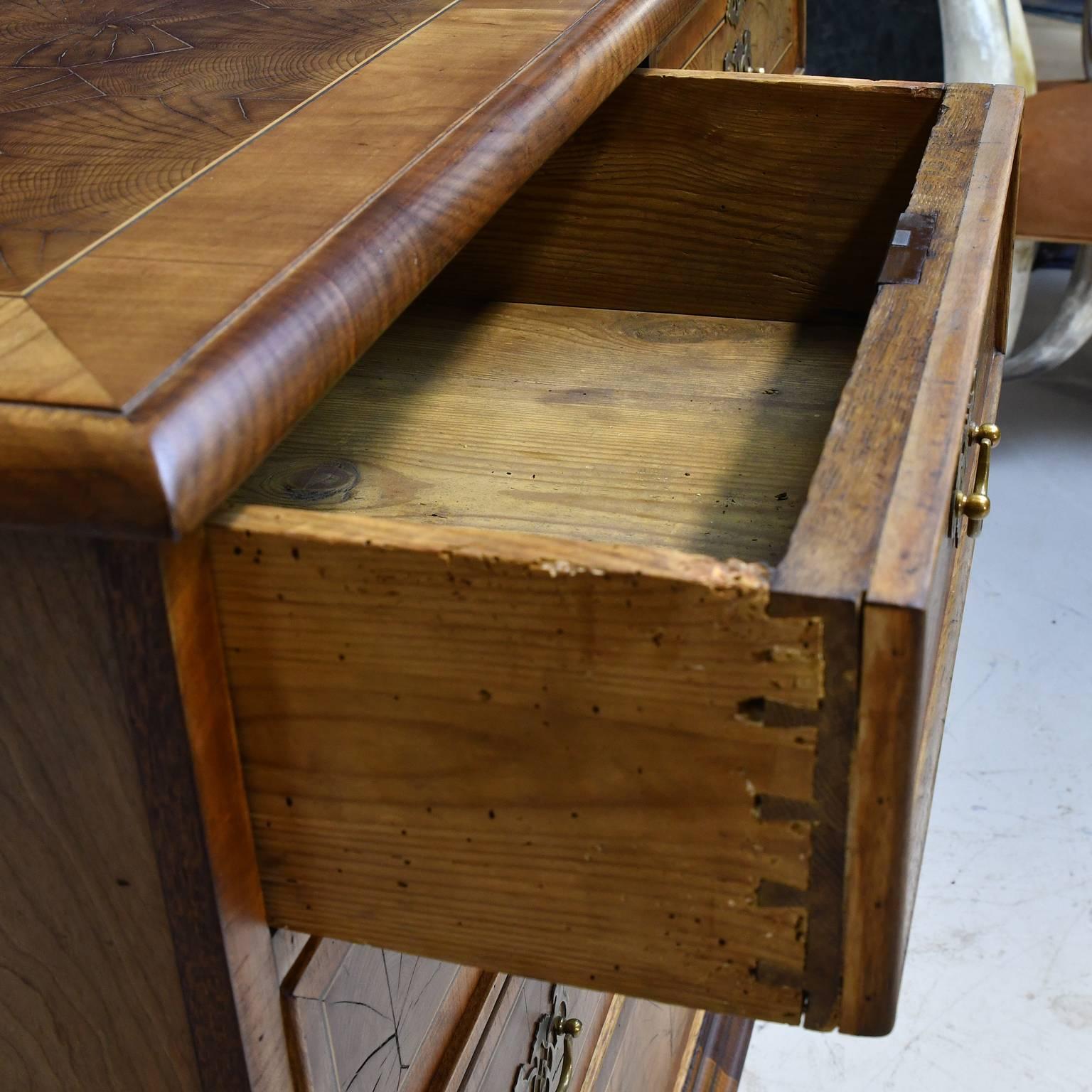 English George III Style Chest of Drawers with Yew-Wood Oyster Veneer For Sale 4