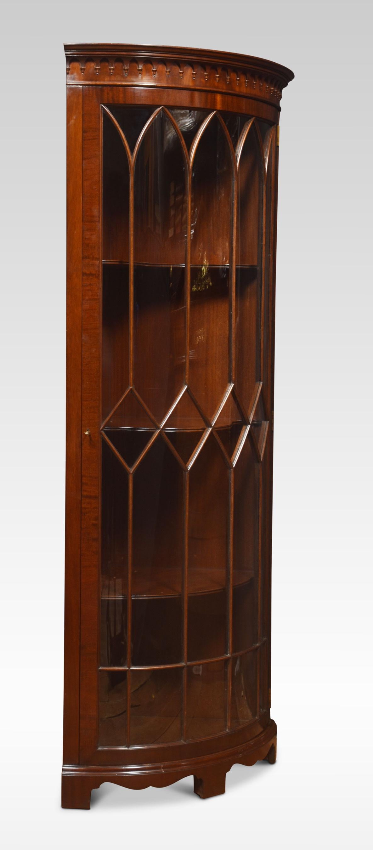 20th Century George III Style Mahogany Corner Cabinet