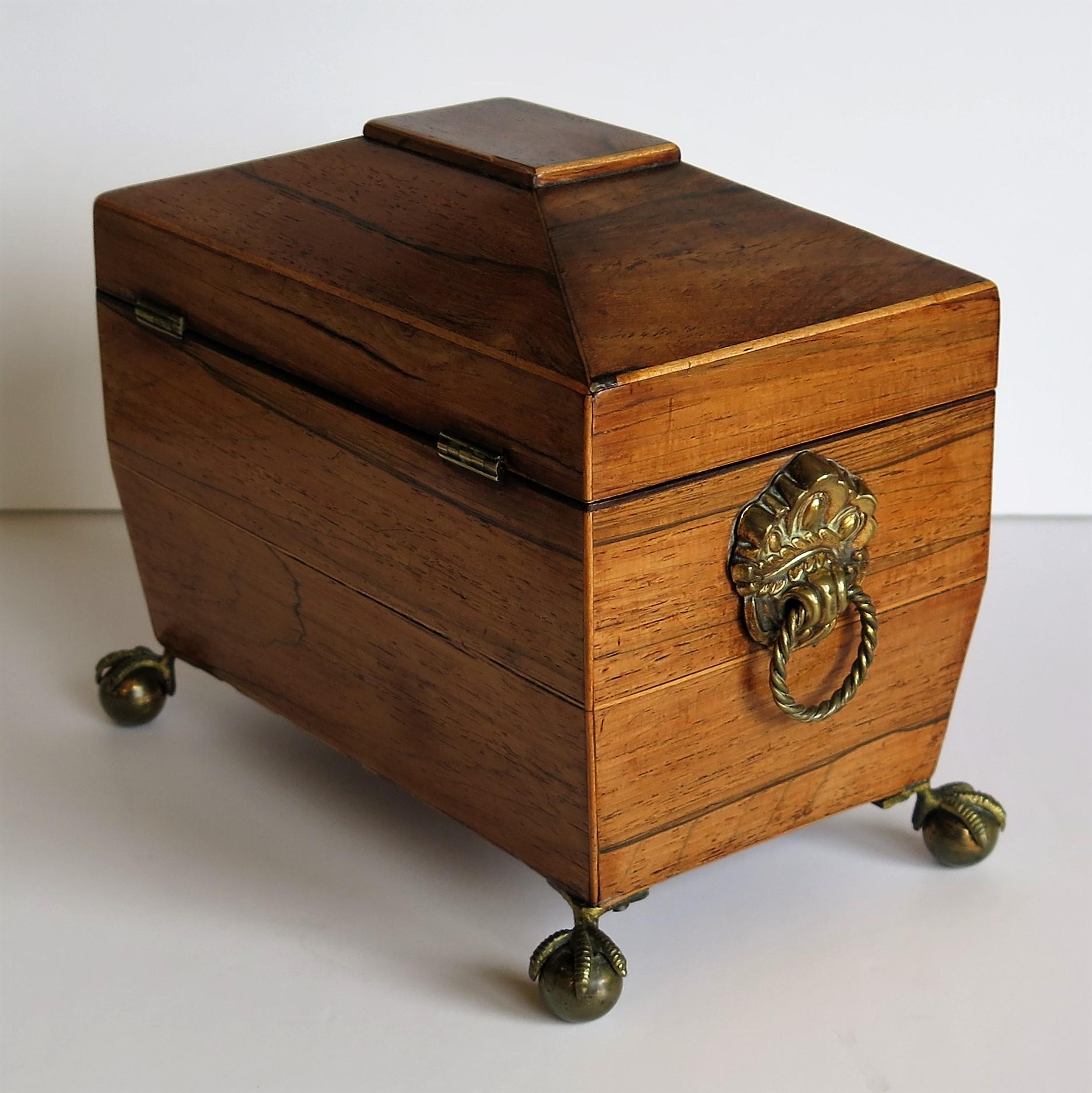 George III Tea Caddy Rosewood with Boxwood edges on Ball and Claw Feet 3