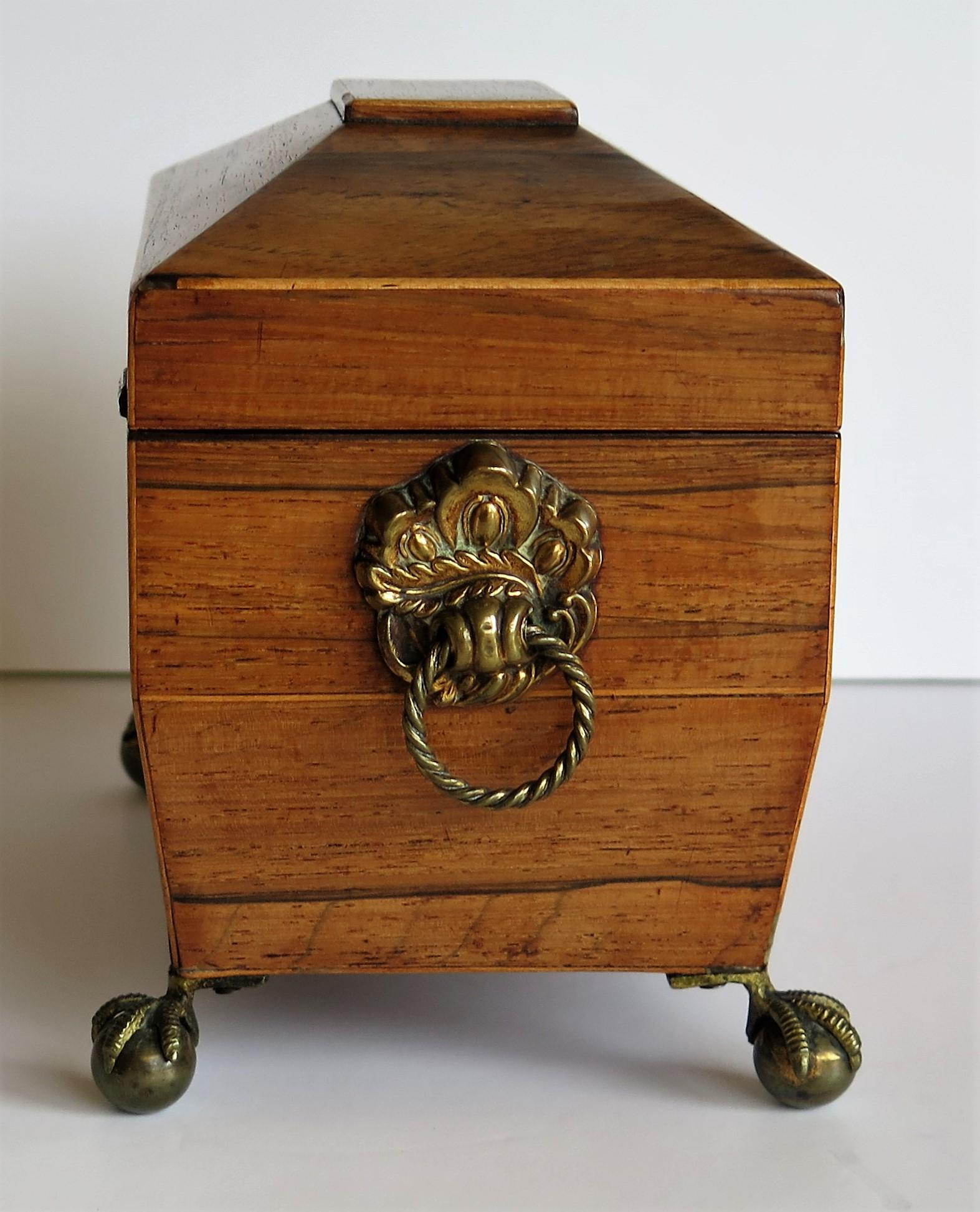 George III Tea Caddy Rosewood with Boxwood edges on Ball and Claw Feet 4