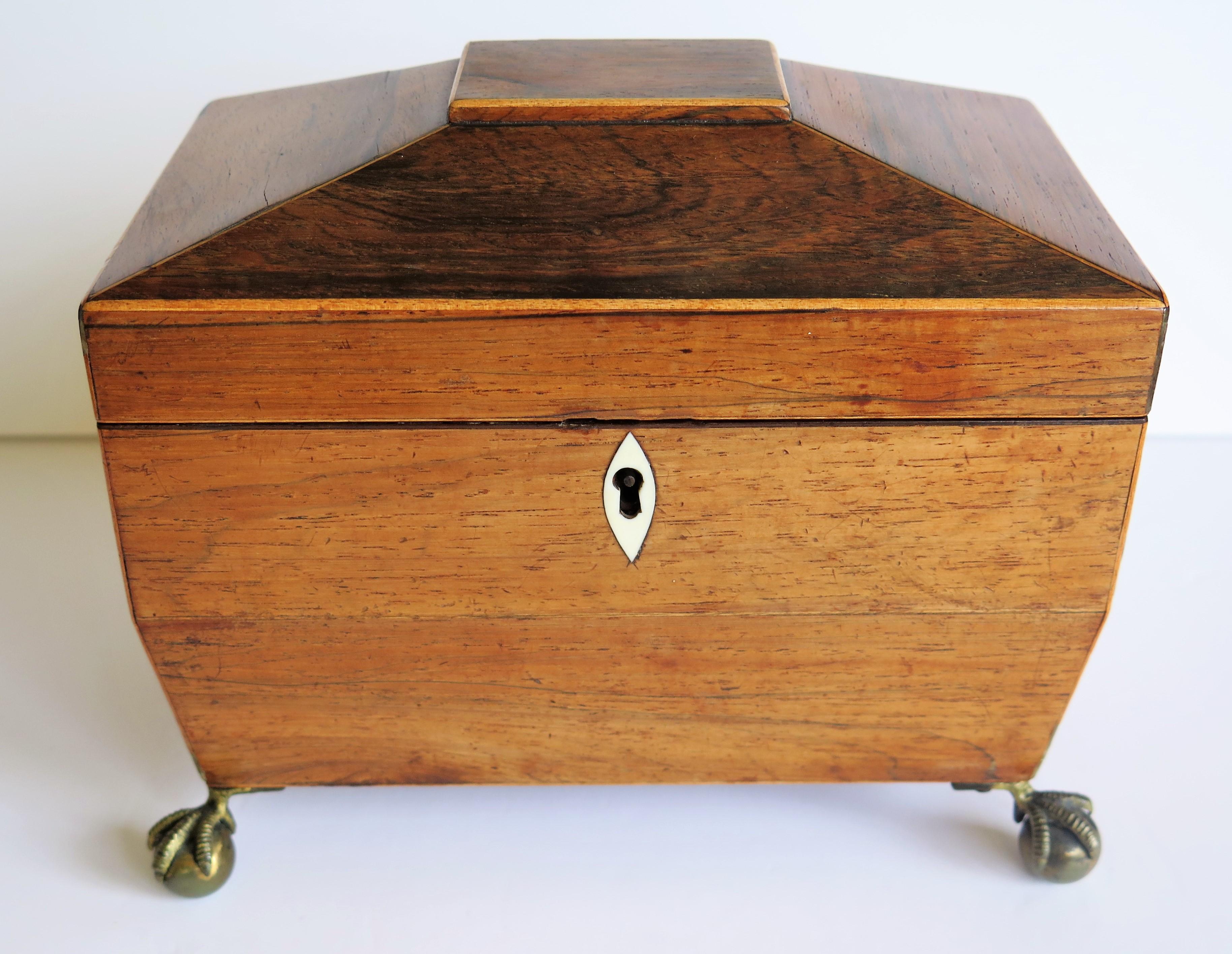 George III Tea Caddy Rosewood with Boxwood edges on Ball and Claw Feet 5