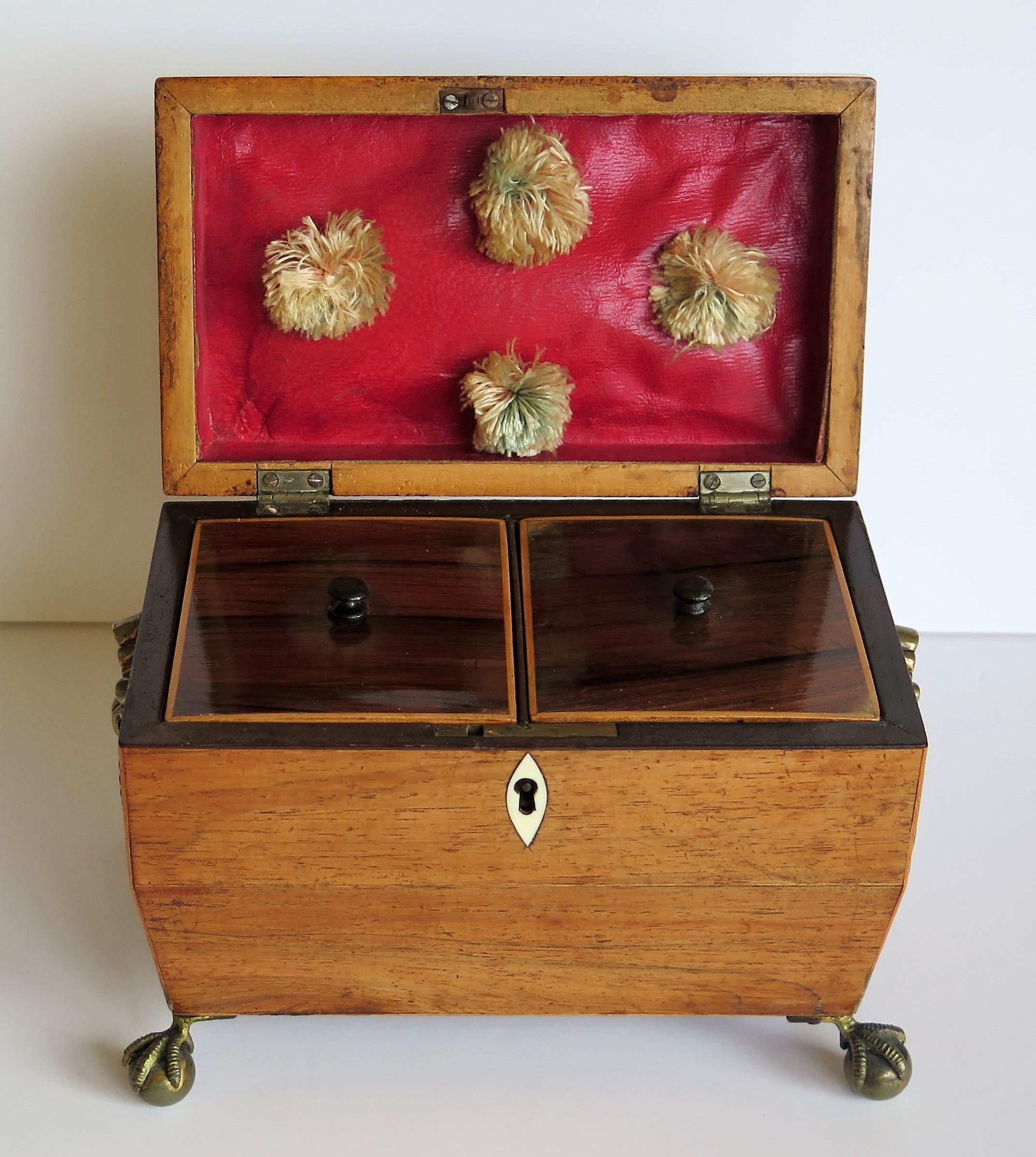 George III Tea Caddy Rosewood with Boxwood edges on Ball and Claw Feet 7