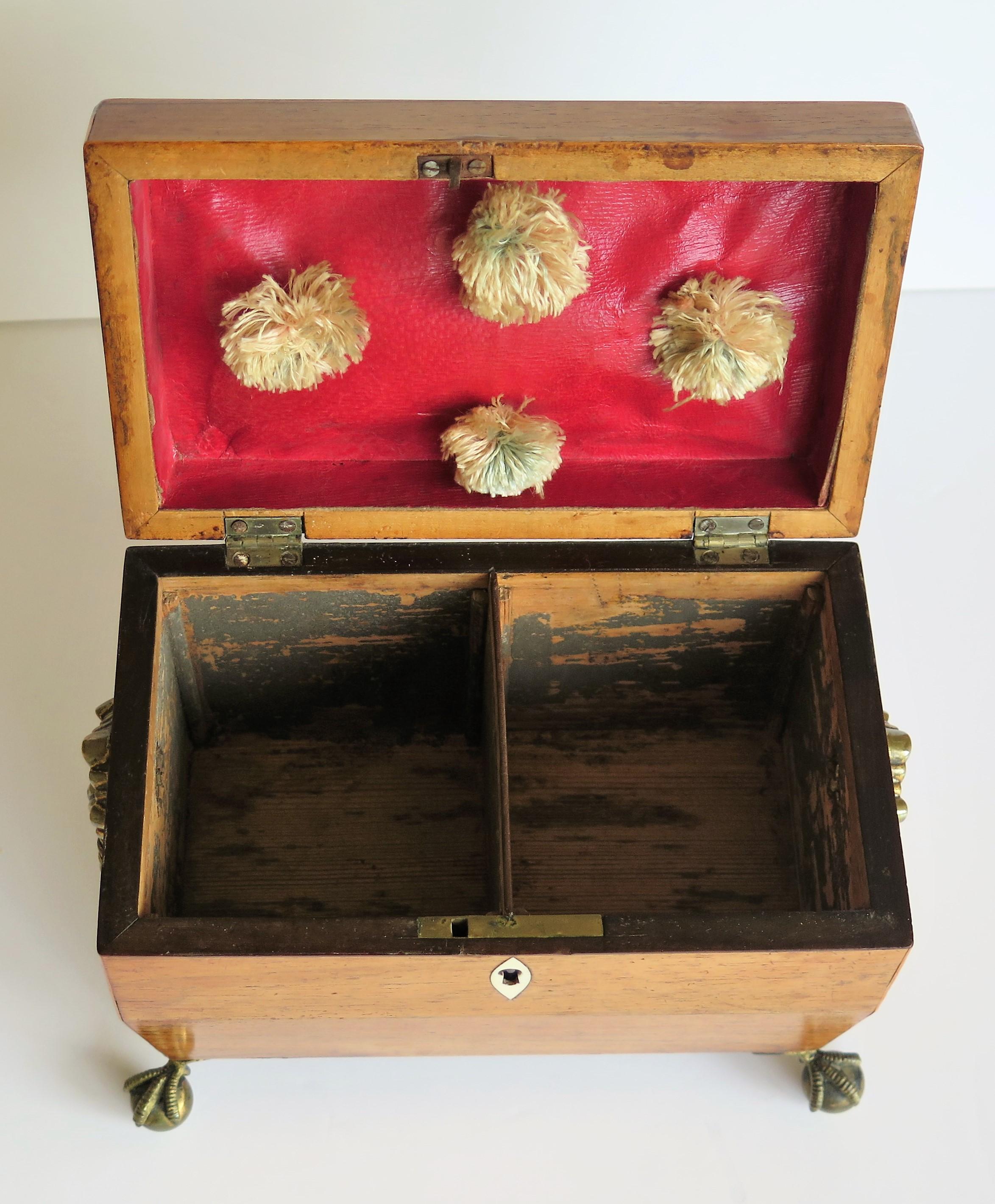 George III Tea Caddy Rosewood with Boxwood edges on Ball and Claw Feet 9