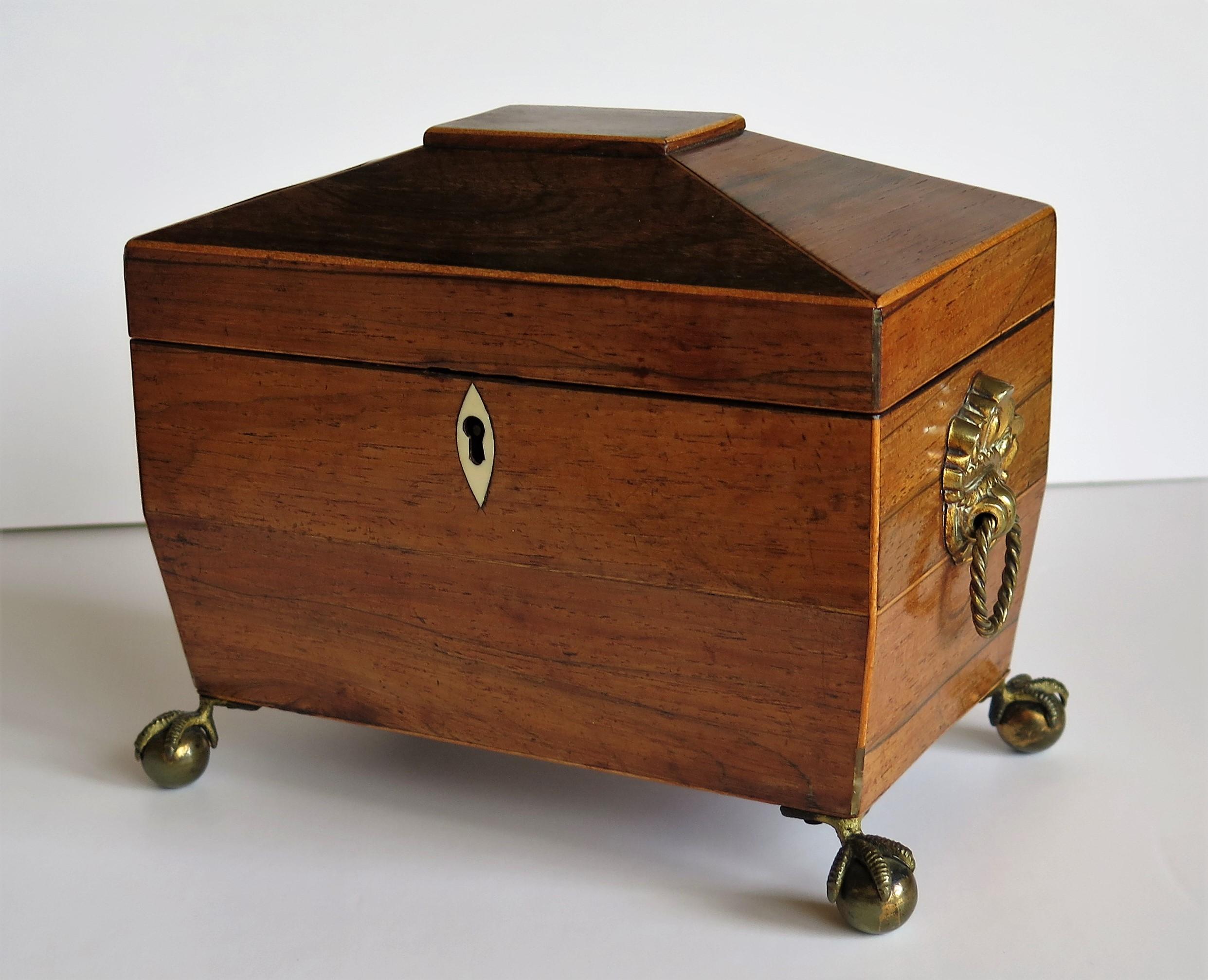 English George III Tea Caddy Rosewood with Boxwood edges on Ball and Claw Feet