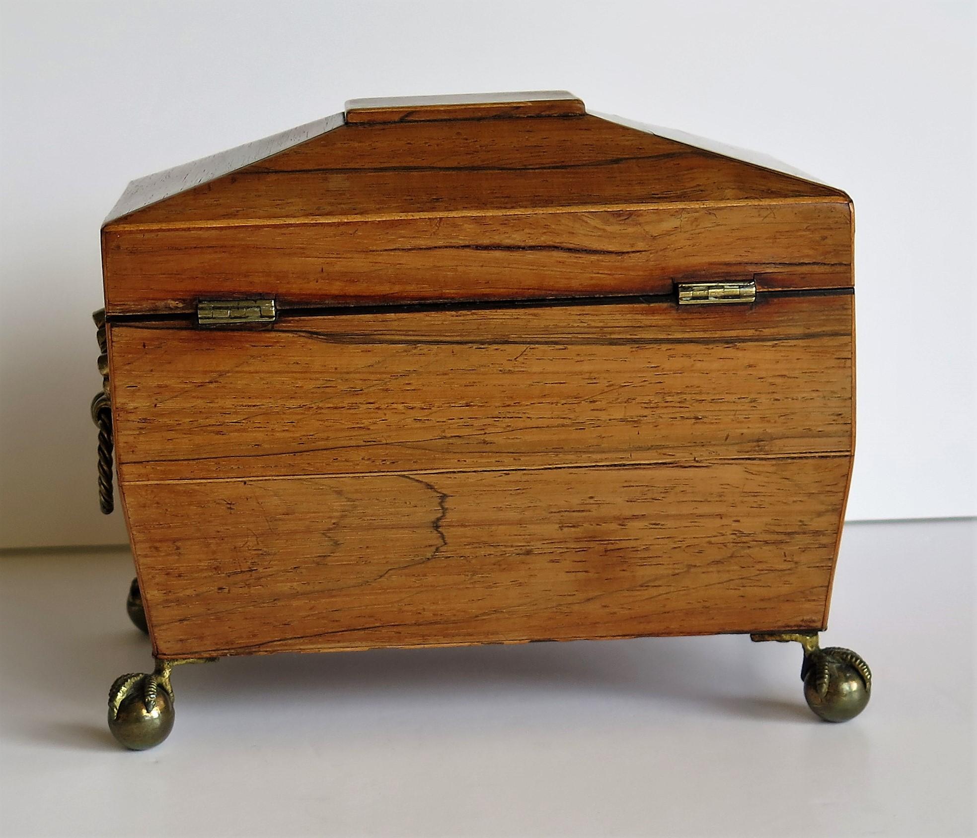 George III Tea Caddy Rosewood with Boxwood edges on Ball and Claw Feet 1