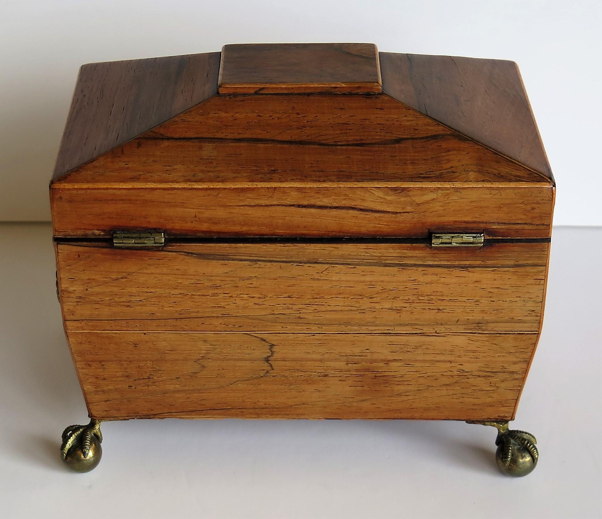 George III Tea Caddy Rosewood with Boxwood edges on Ball and Claw Feet 2