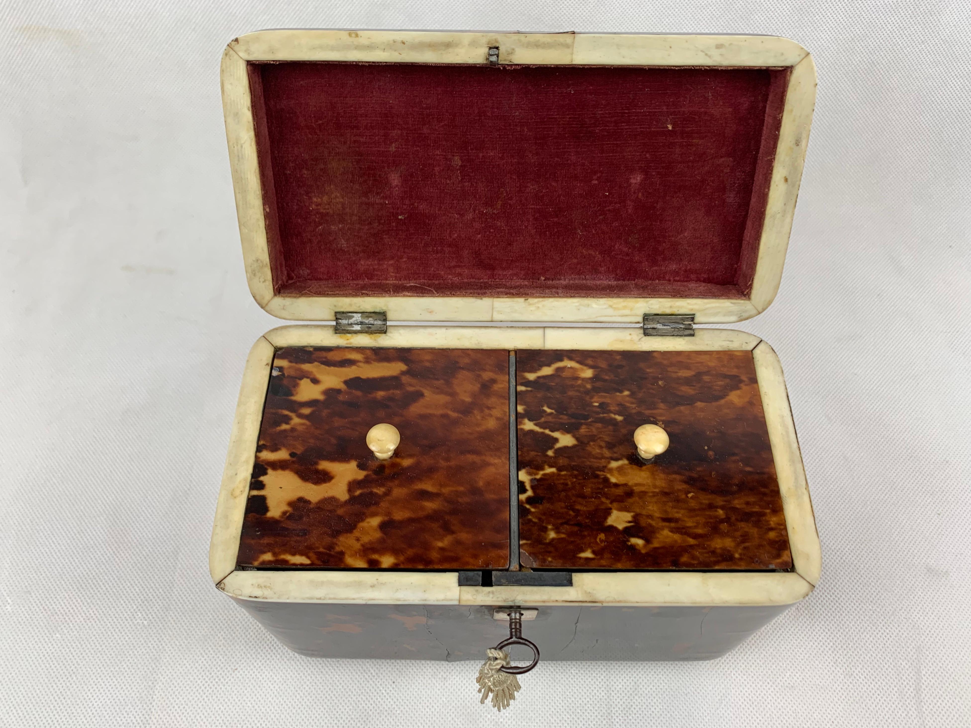 English George III Tortoiseshell Tea Caddy Dome lid, Two Compartment with Key