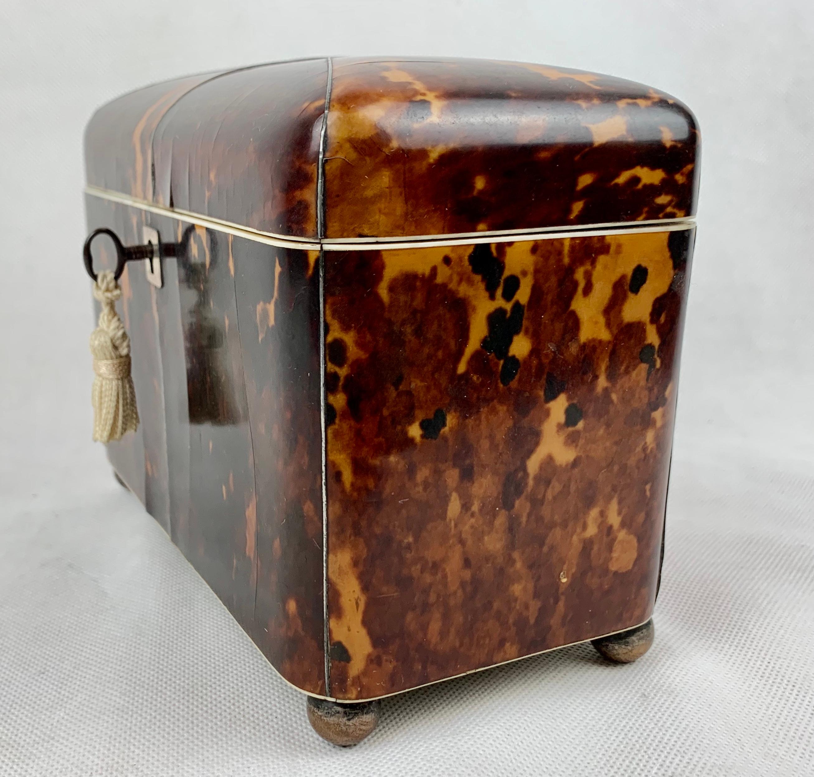 Early 19th Century George III Tortoiseshell Tea Caddy Dome lid, Two Compartment with Key