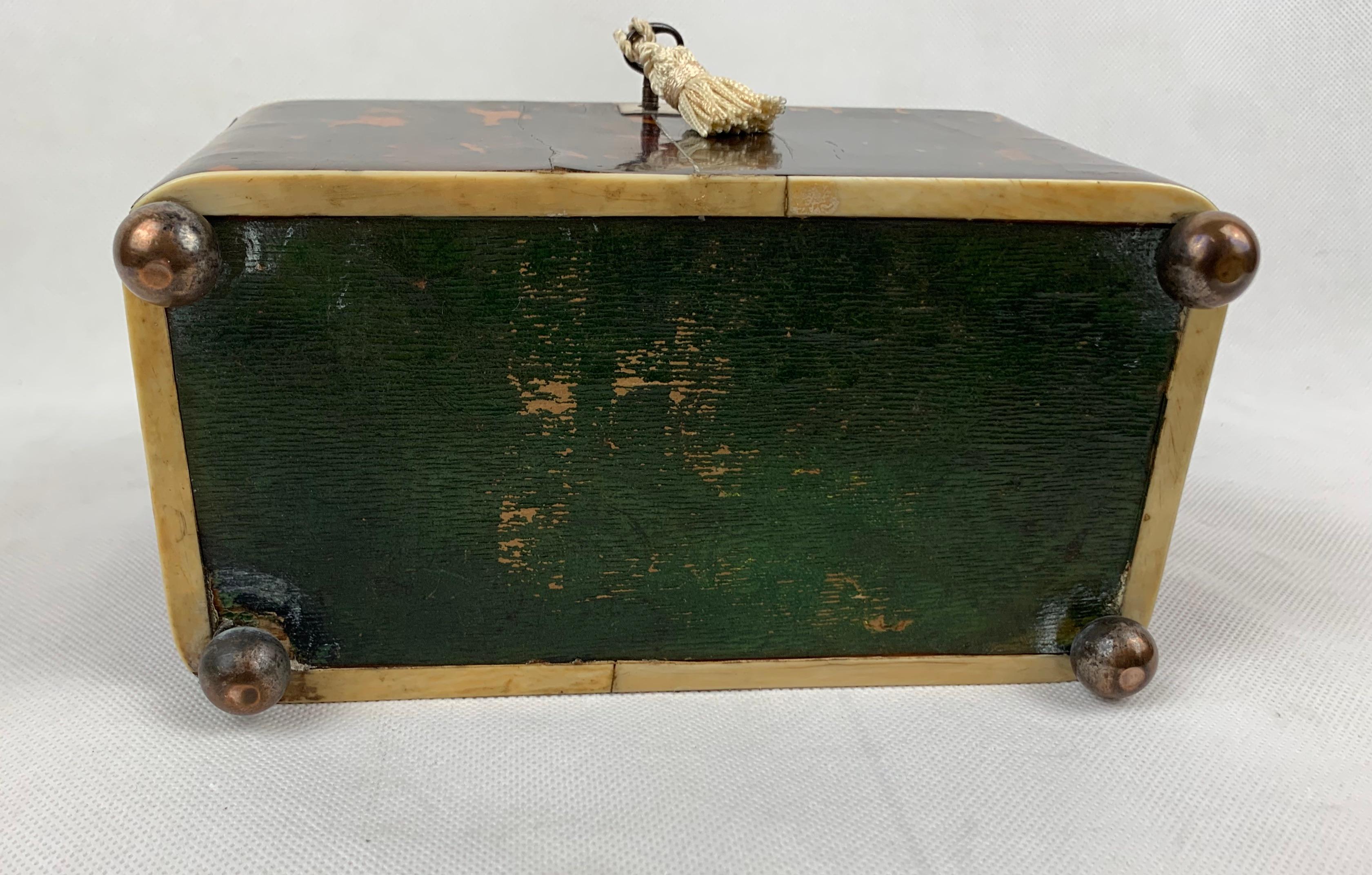 George III Tortoiseshell Tea Caddy Dome lid, Two Compartment with Key 1