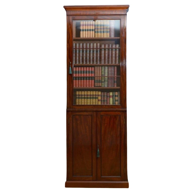 IV Mahogany Bookcase at 1stDibs
