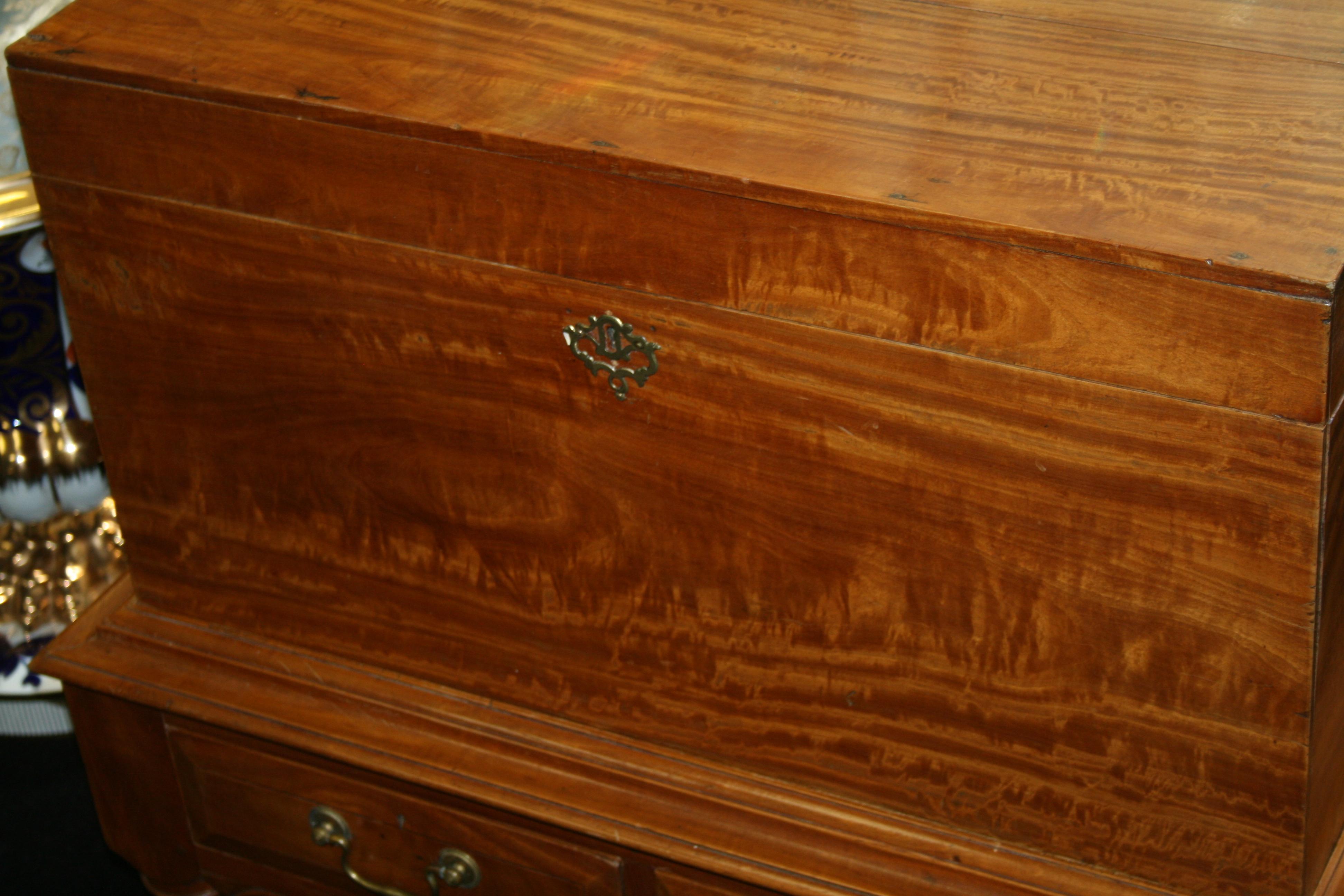 George IV Massive Satinwood Silver Chest auf Ständer, England, um 1820 (Europäisch) im Angebot