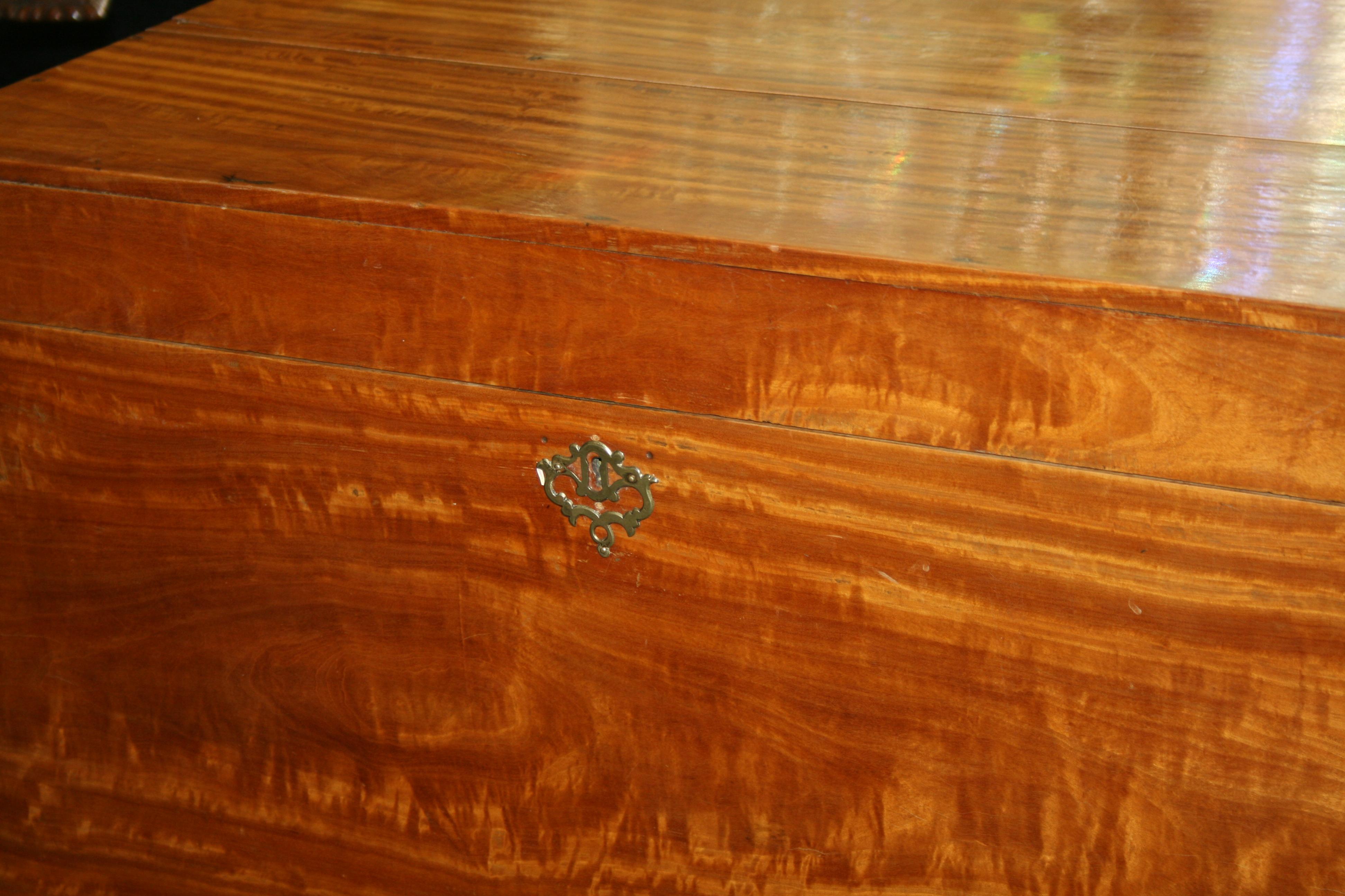 George IV Massive Satinwood Silver Chest auf Ständer, England, um 1820 im Angebot 1