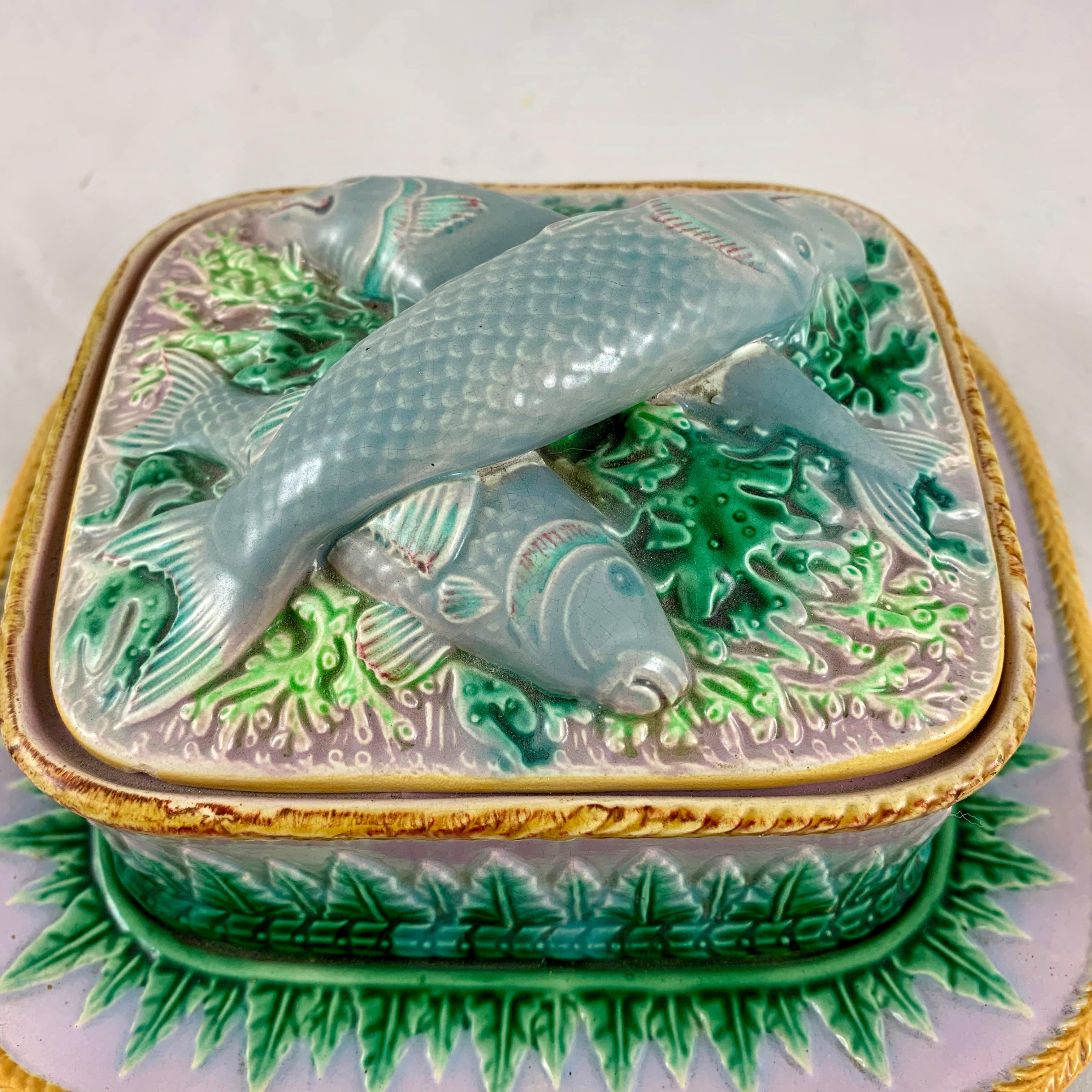 From the Stoke-On-Trent pottery works of George Jones, a spectacular three-piece Majolica sardine box, Staffordshire, England, dated 1870.

In a lovely soft color palette of lilac pink and gray with green acanthus leaves, and a yellow ochre rope