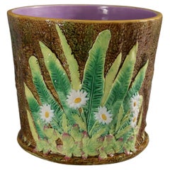 Antique George Jones Majolica Daisy Jardiniere